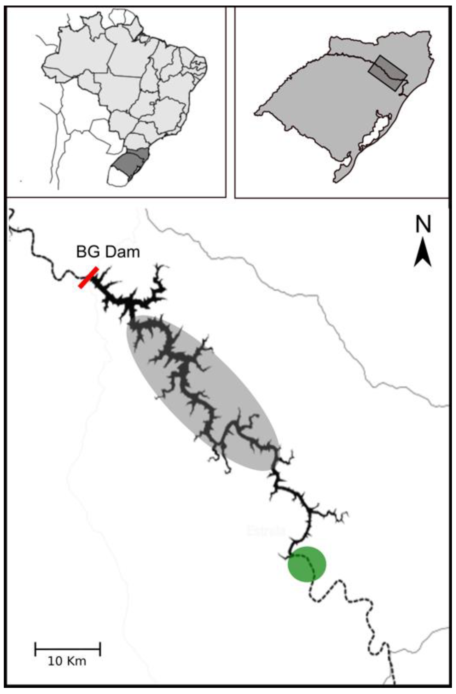 Fishes 03 00039 g001