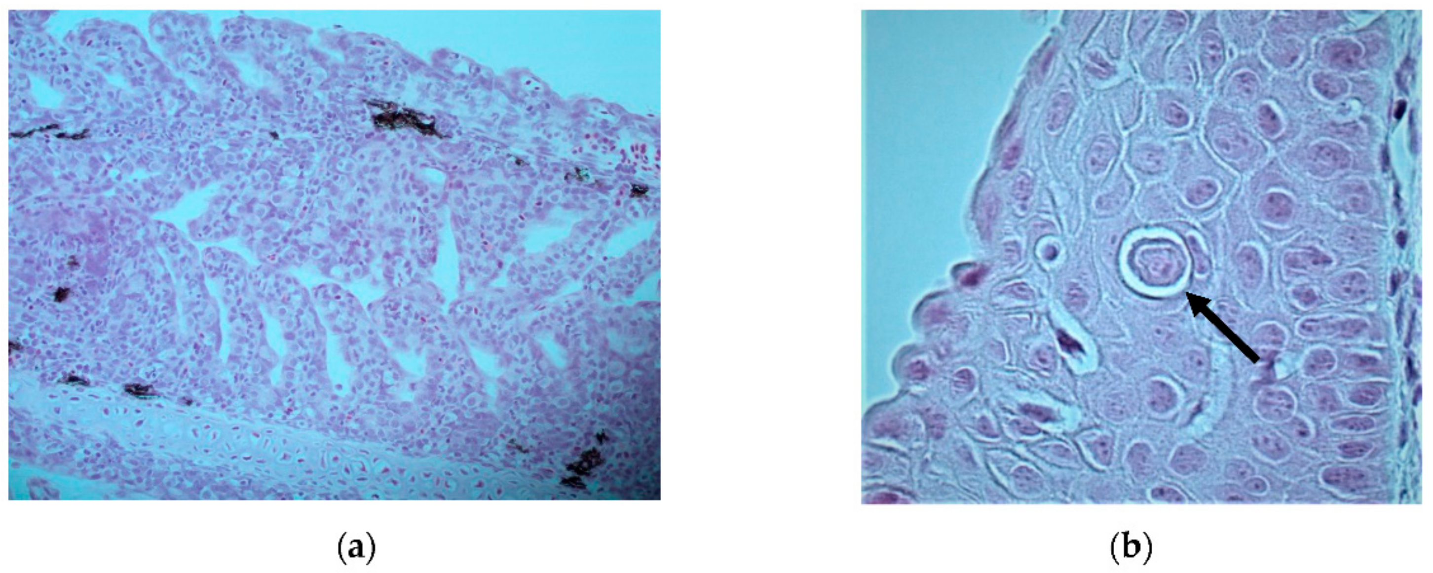 Fishes 03 00042 g002