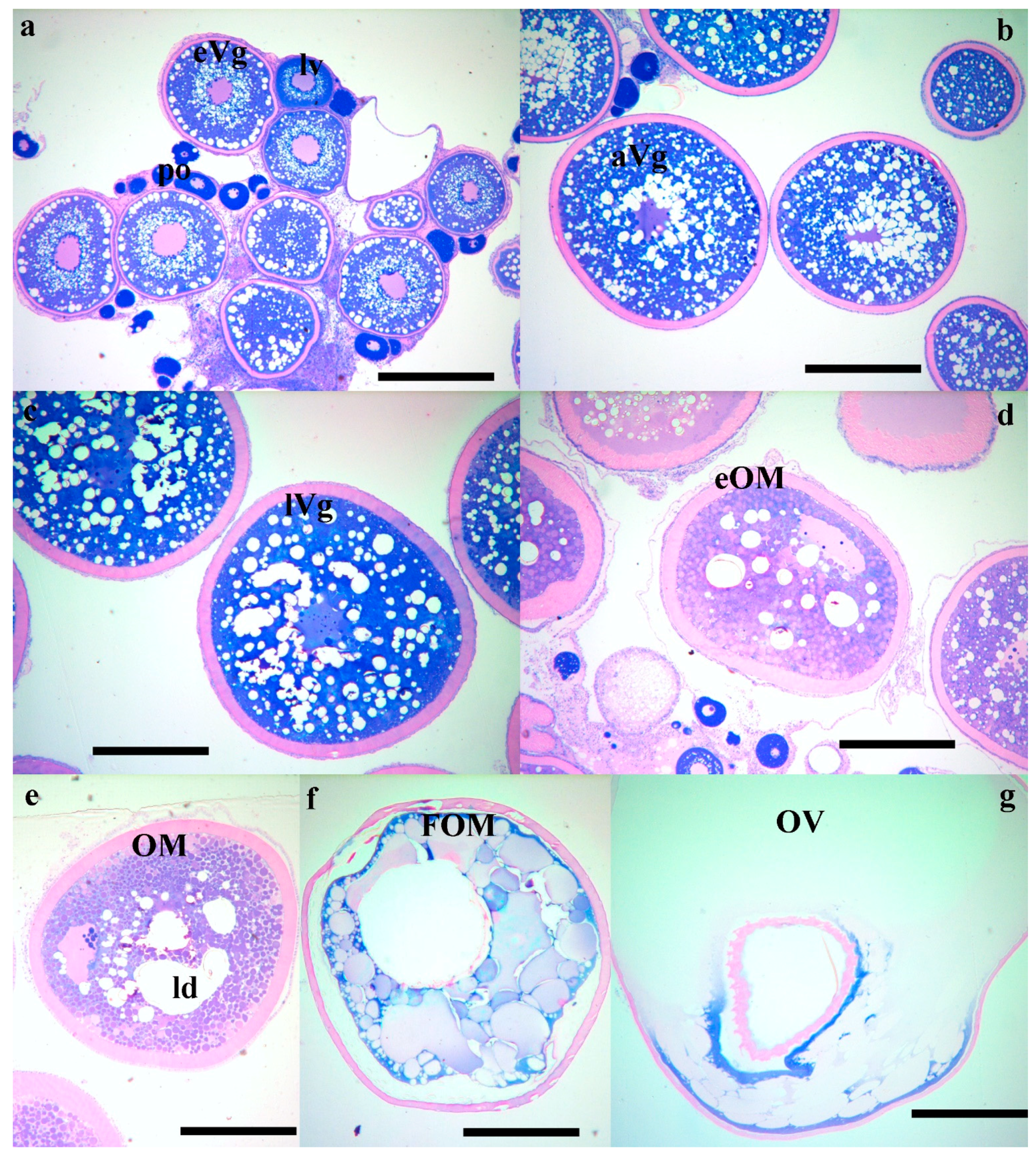 Fishes 03 00043 g002