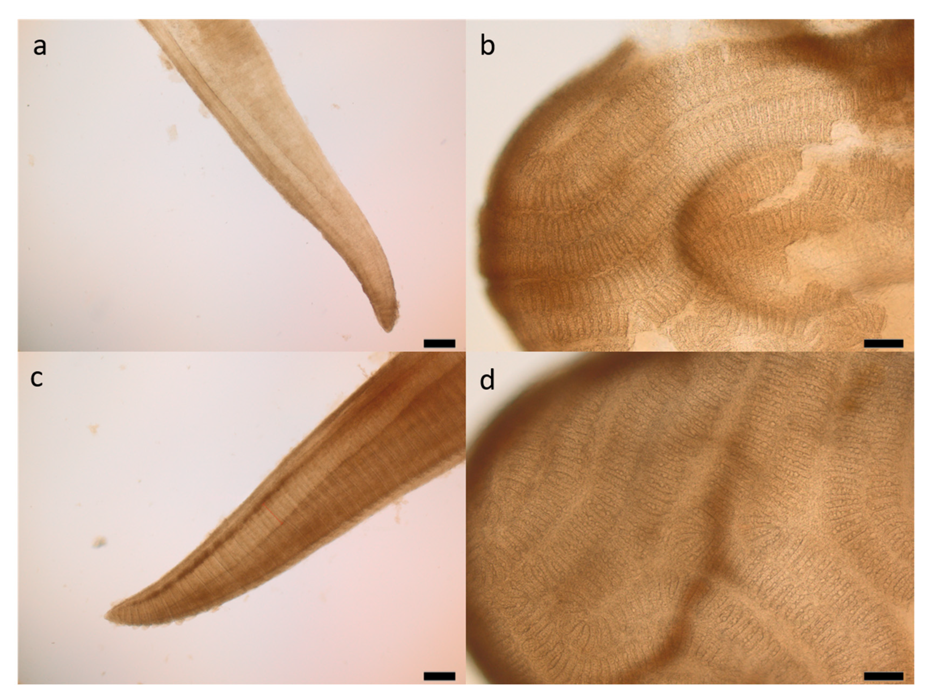 Fishes 04 00003 g001 550