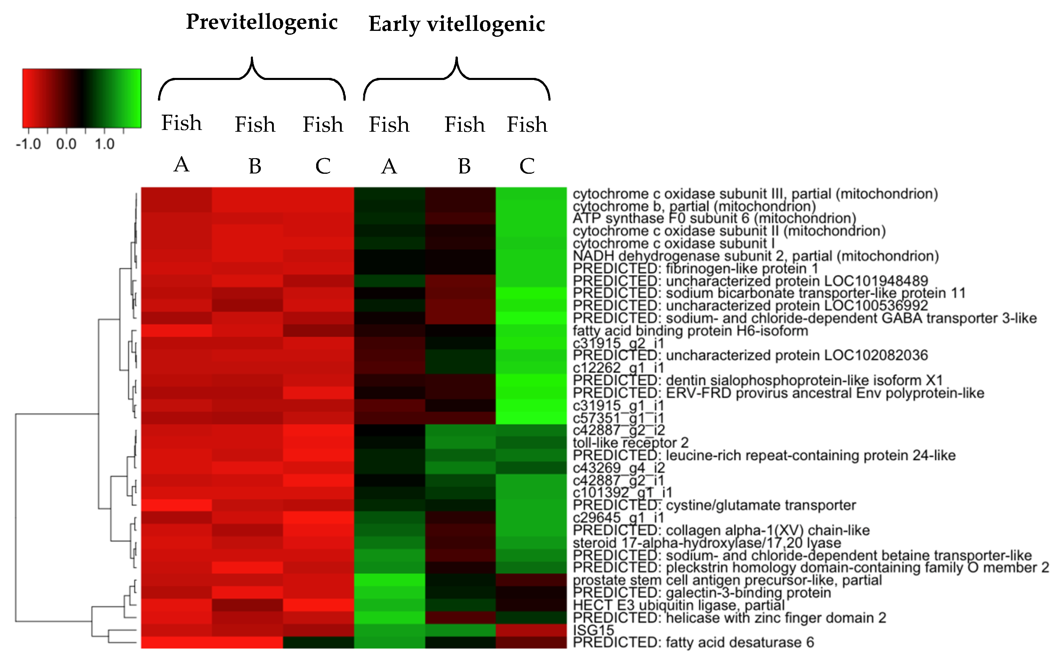 Fishes 04 00016 g003