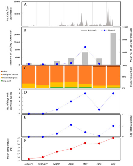 At Night, Fish Communicate With Special Calls, Whistles and Grunts, Smart  News