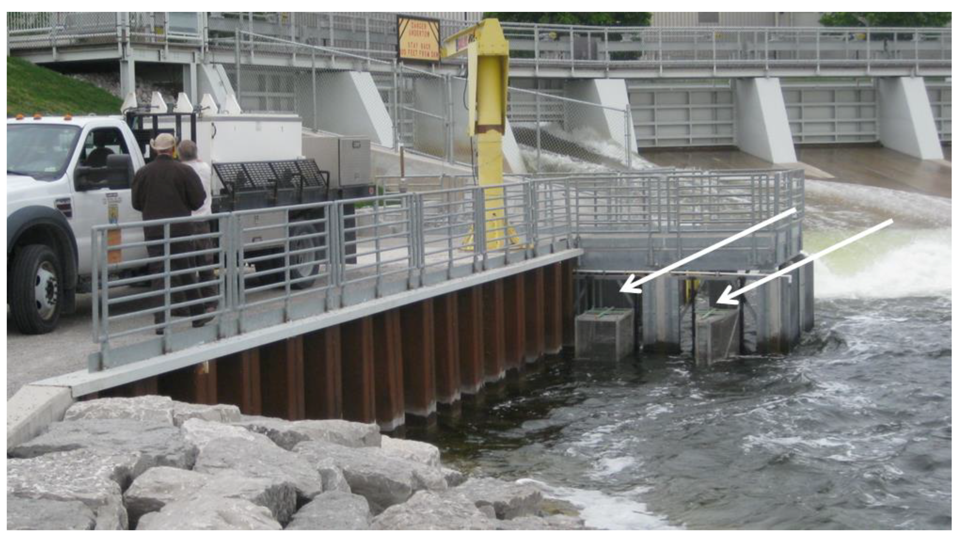 Fishes 04 00034 g002