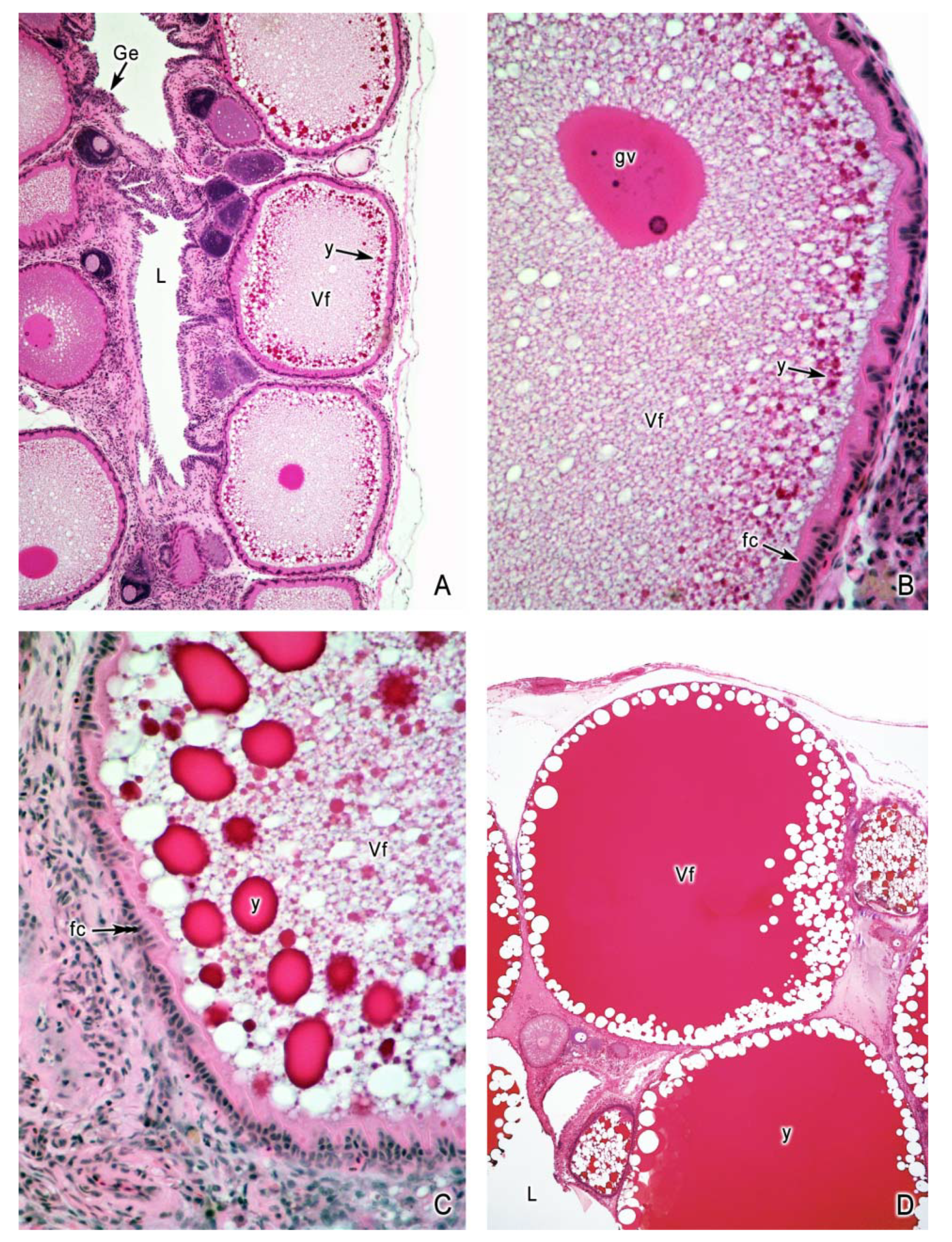 Fishes 04 00035 g004 550