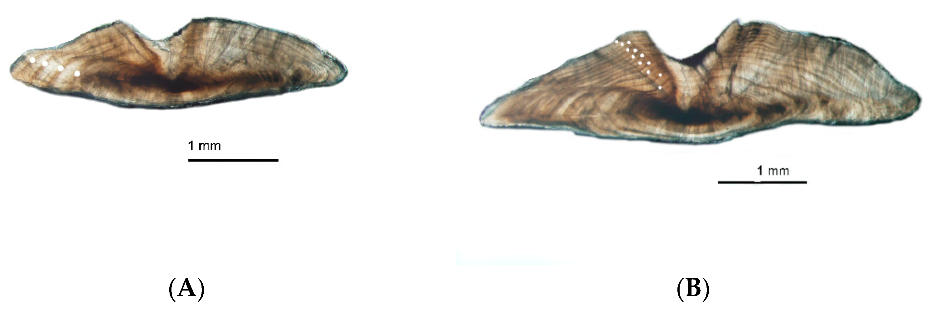 Fishes 04 00036 g002 550