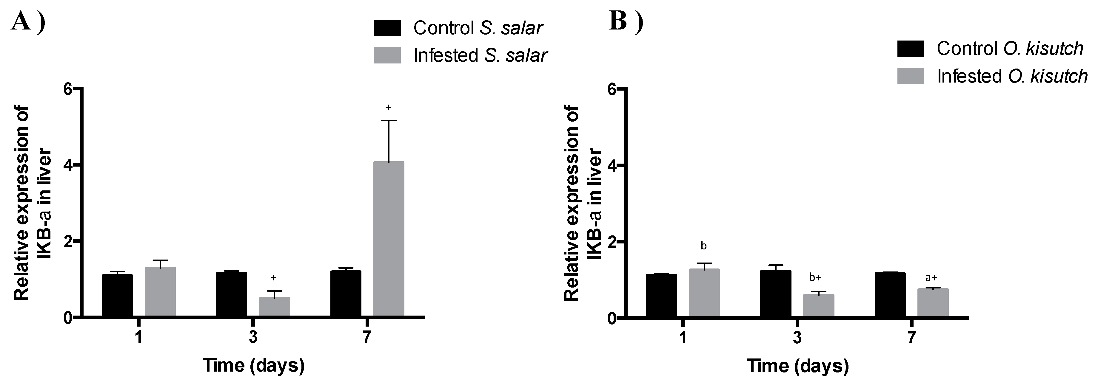 Fishes 04 00042 g005 550