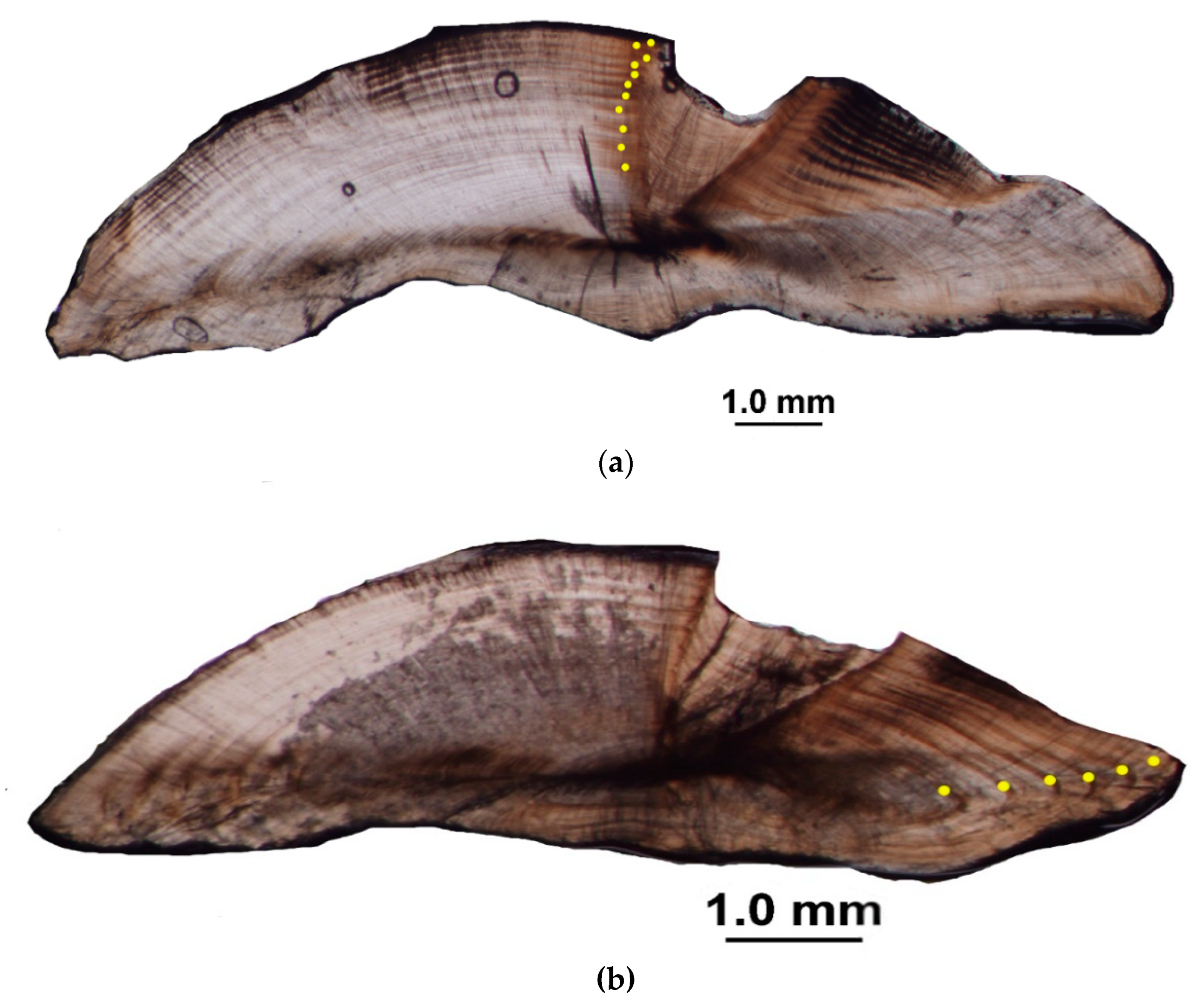 Fishes 04 00044 g001