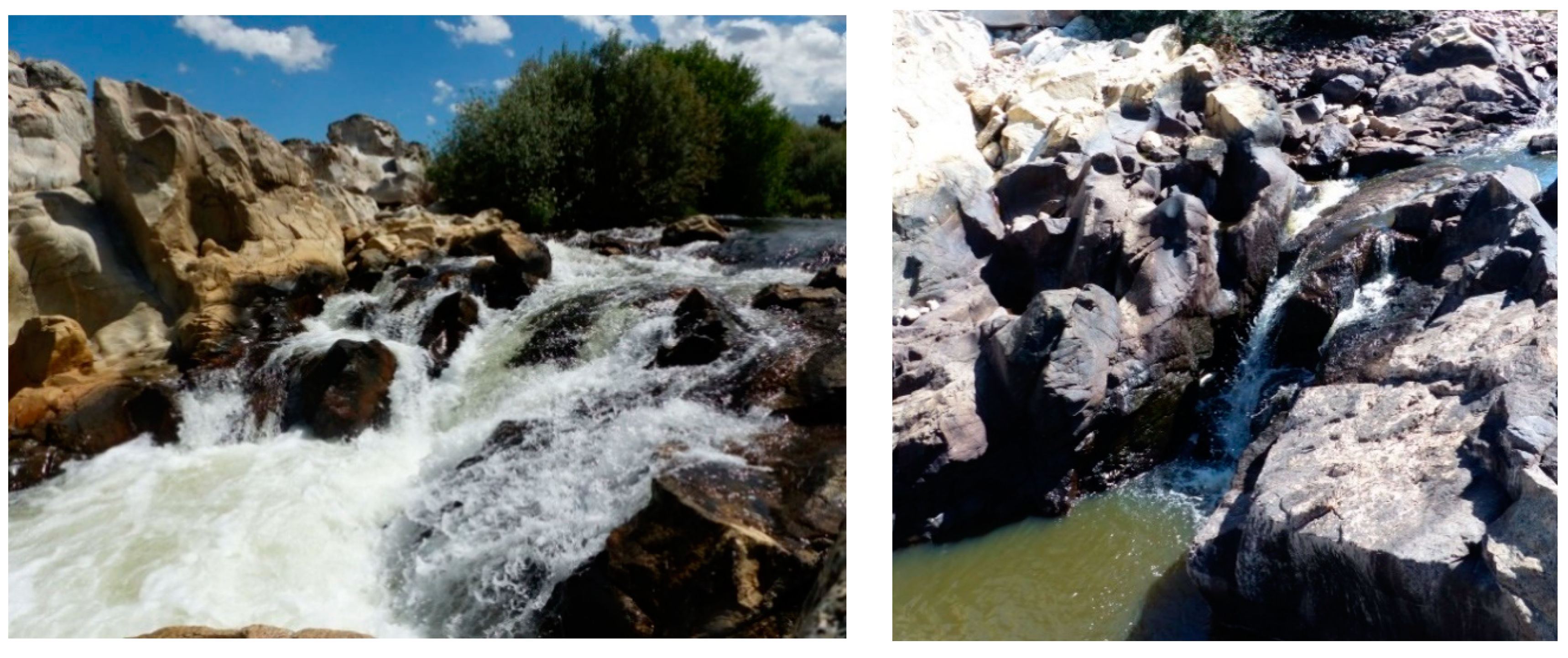 Fishes 04 00045 g004