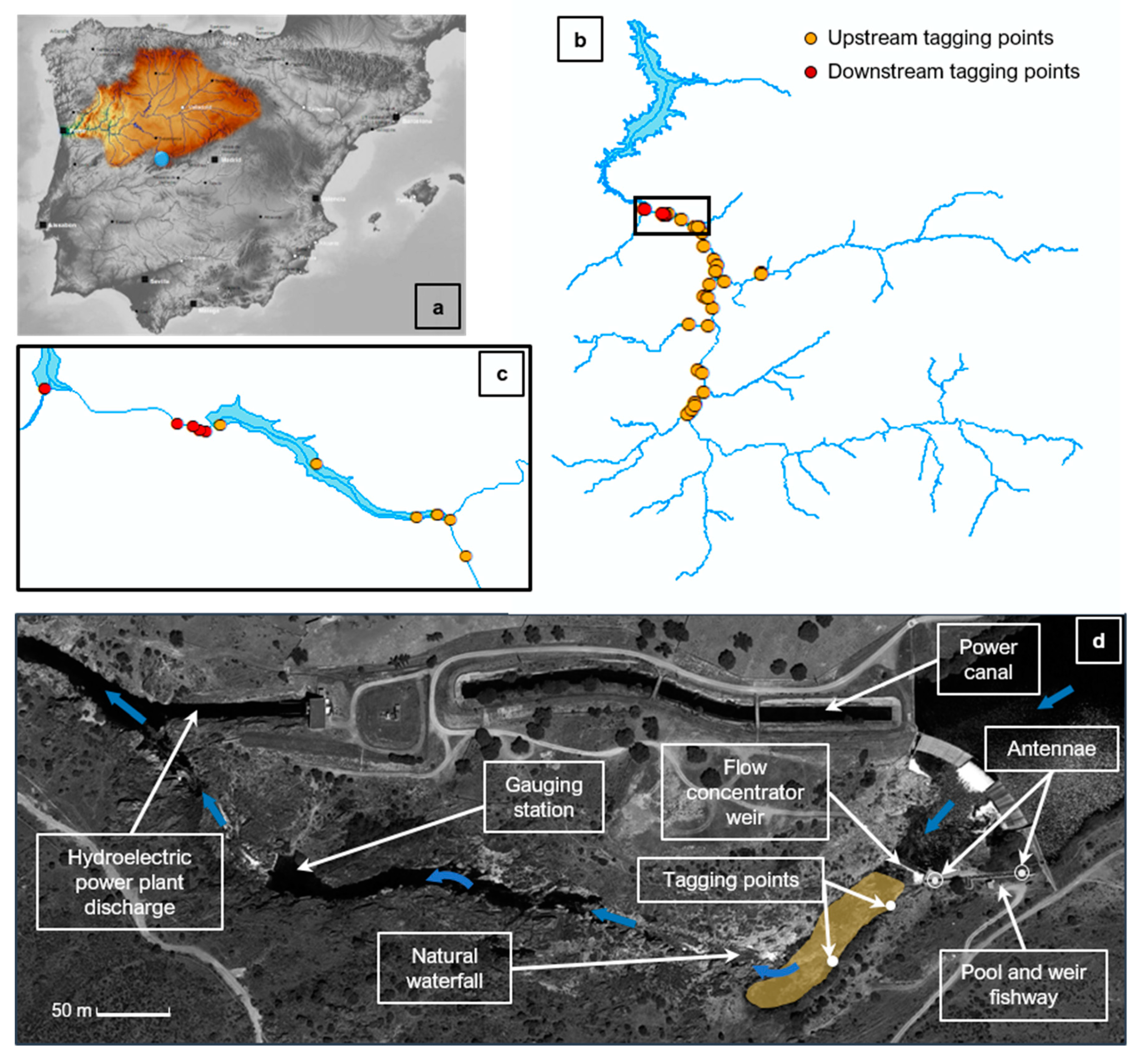 Fishes 04 00045 g005