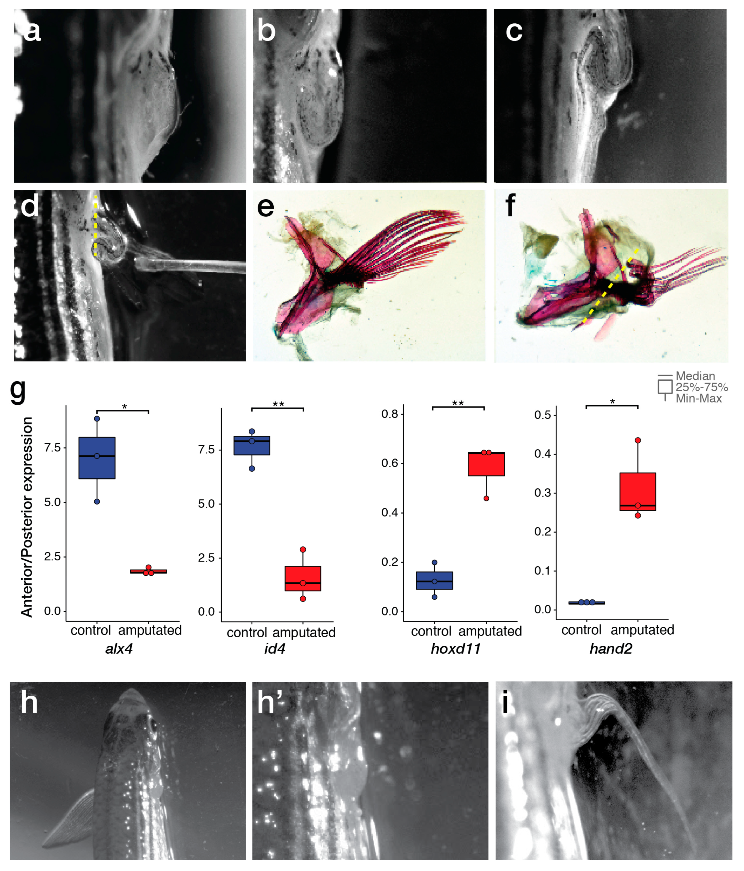 Fishes 04 00051 g002
