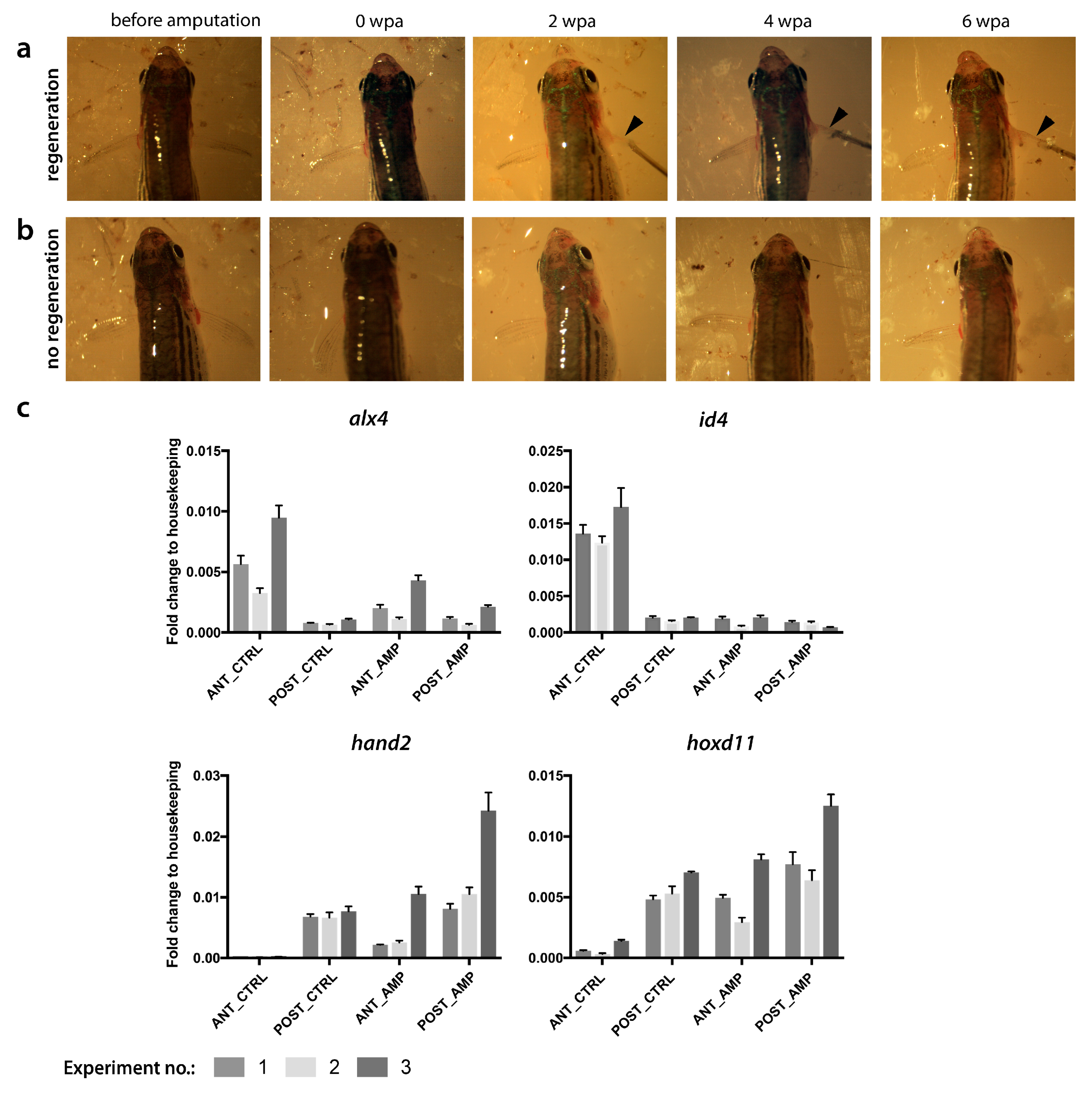 Fishes 04 00051 g0a1