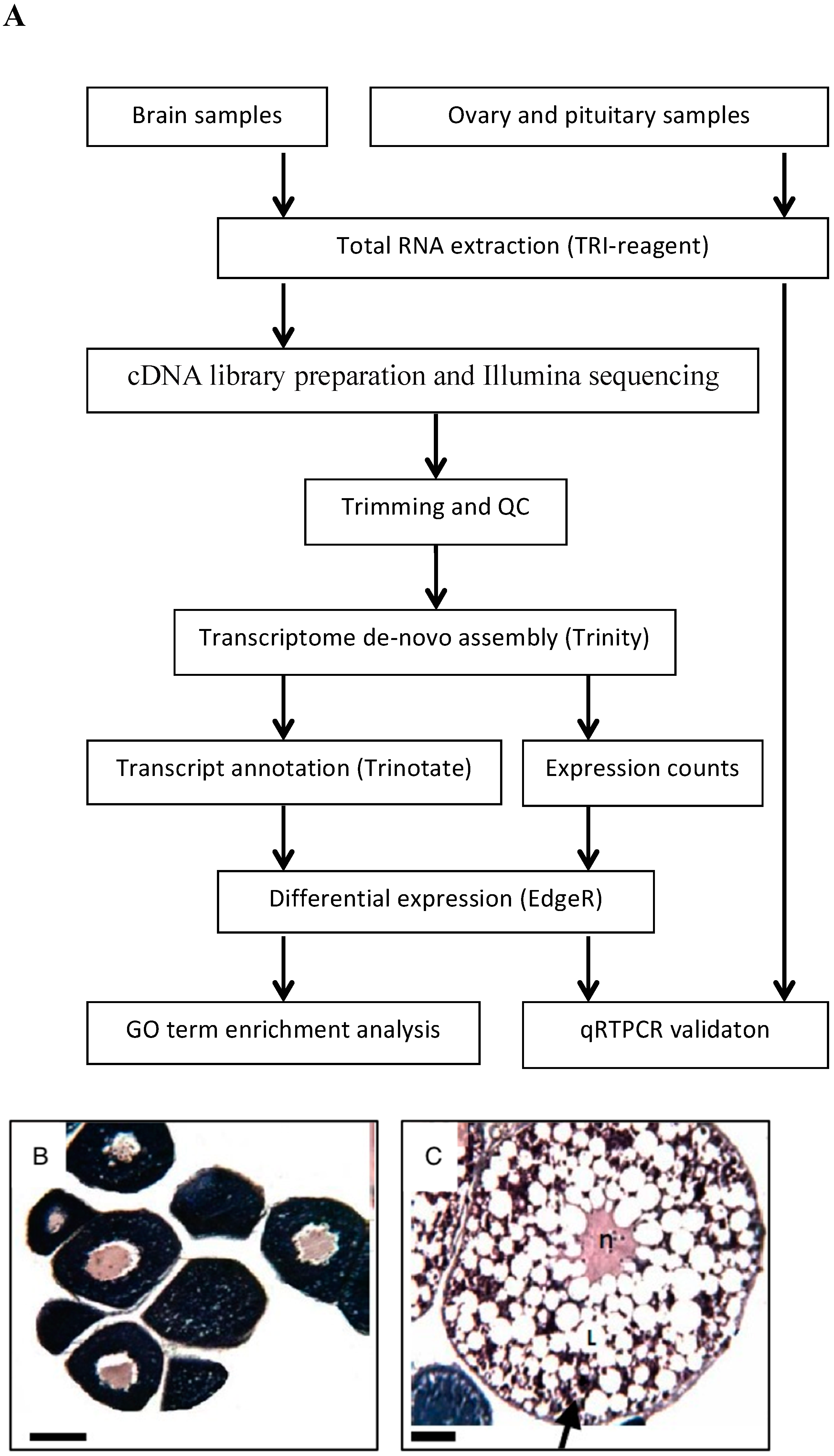 Fishes 04 00054 g001