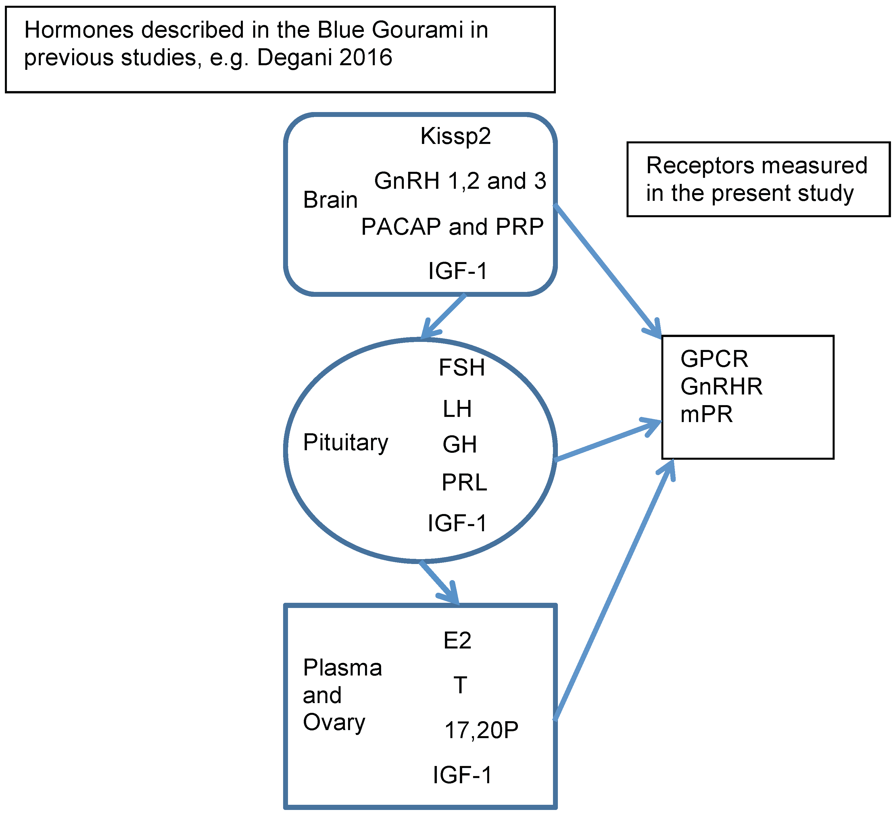 Fishes 04 00054 g004