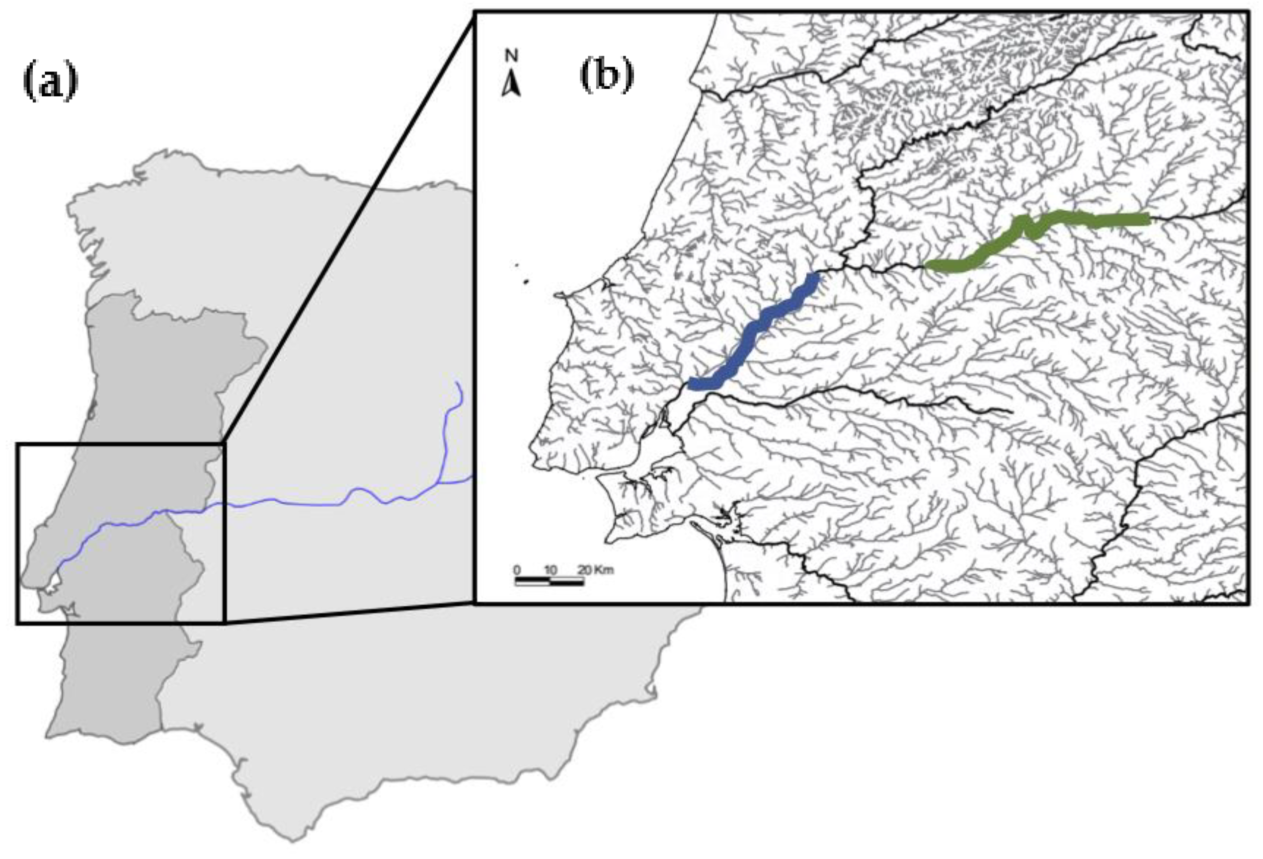 Fishes 04 00058 g005