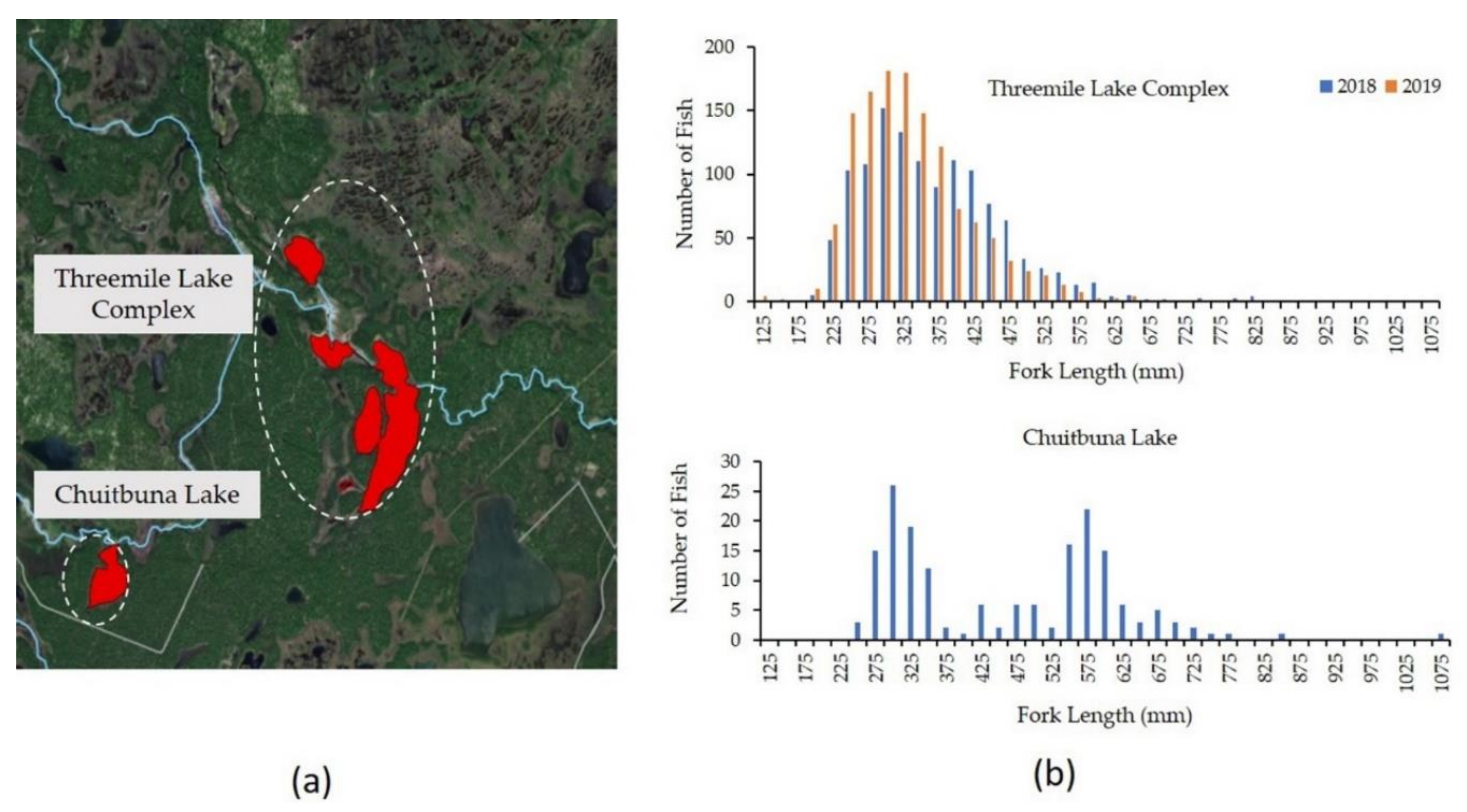 Fishes 05 00012 g008 Fishes 05 00012 g008