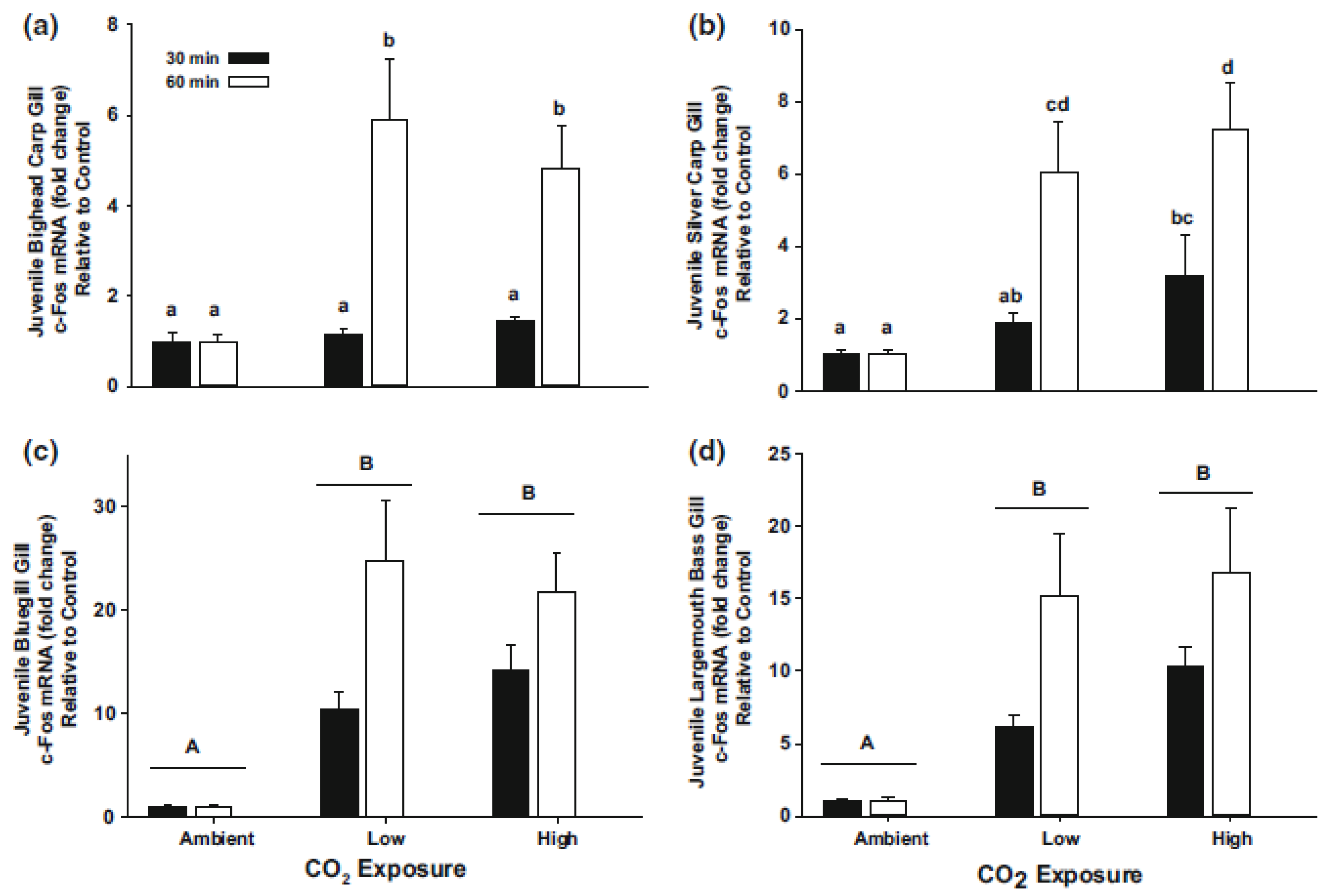 Fishes 05 00025 g002