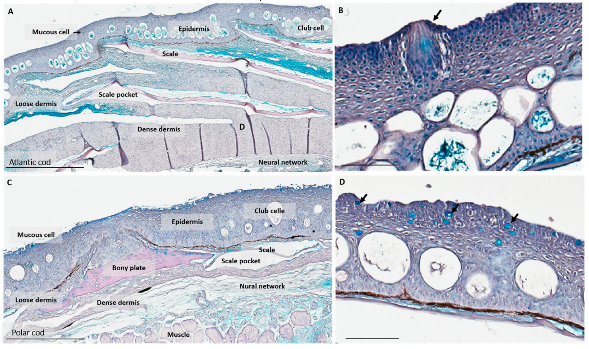 Fishes 05 00034 g001
