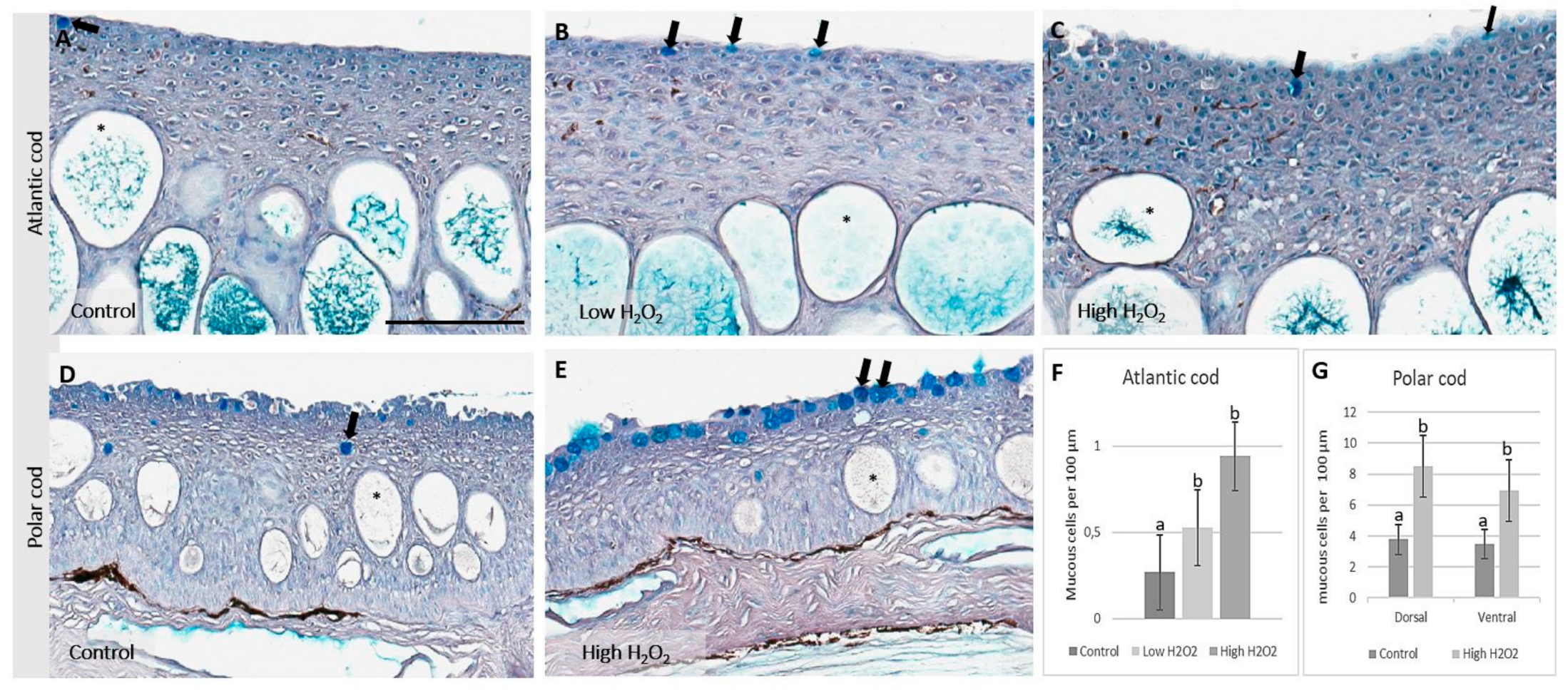 Fishes 05 00034 g004