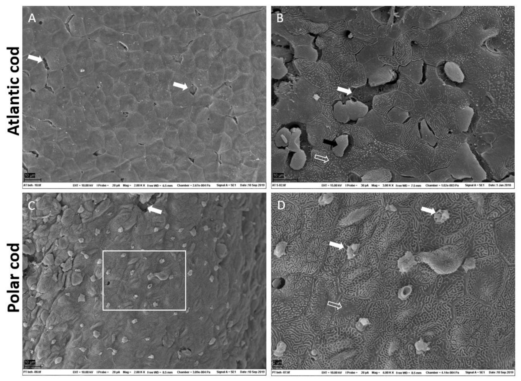 Fishes 05 00034 g005