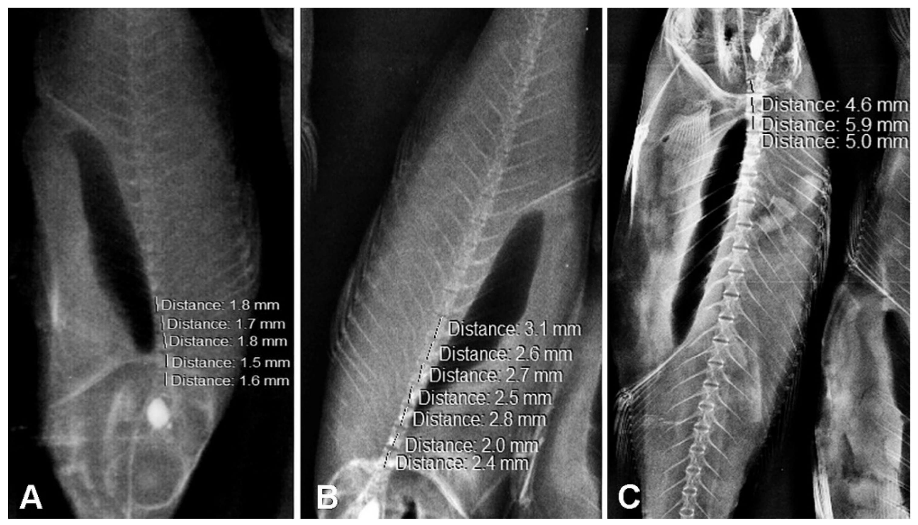 Fishes 05 00037 g002 Fishes 05 00037 g002
