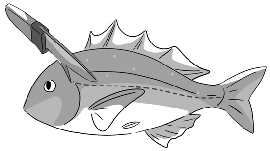 Fishes | Free Full-Text | Mechanism of Delayed Convulsion in Fish: The ...