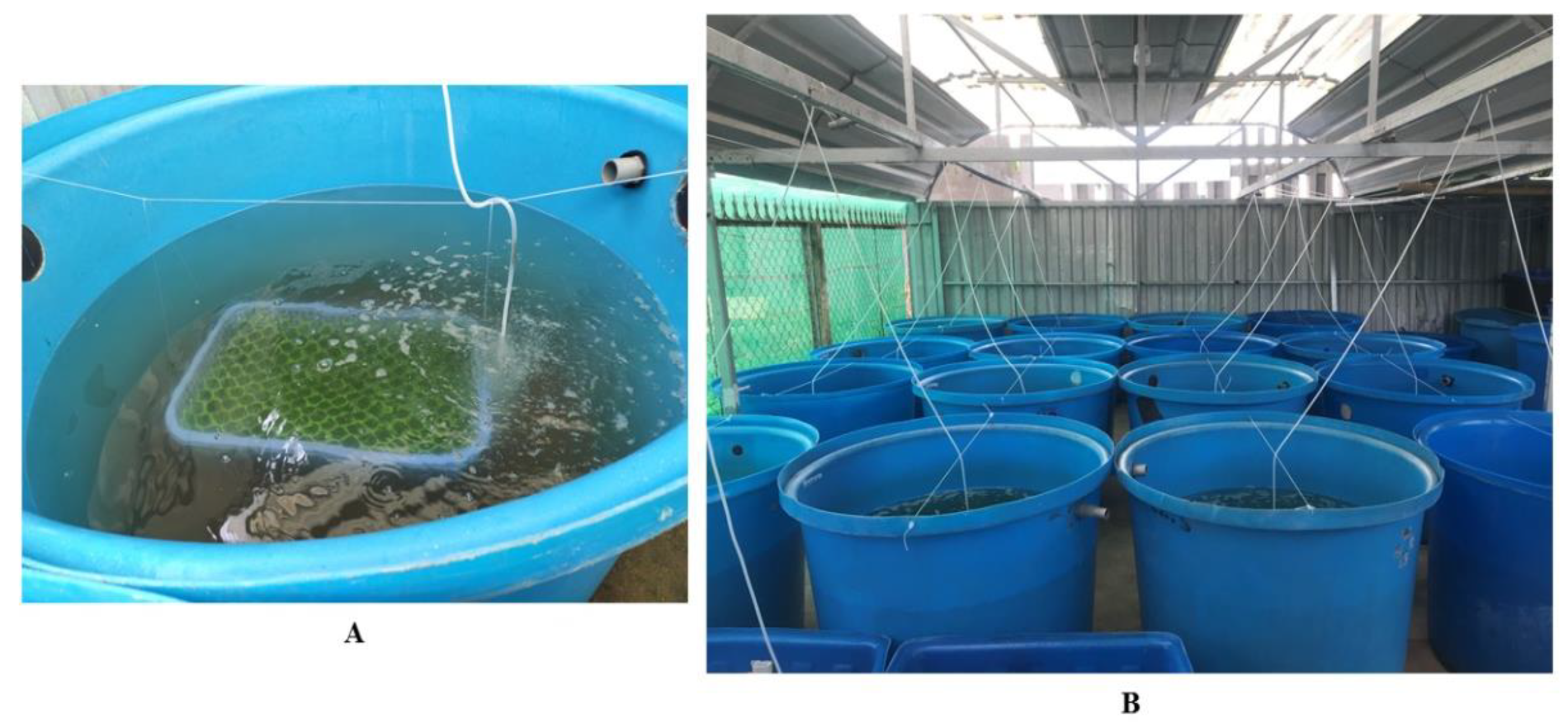 Fishes 06 00019 g001 Fishes 06 00019 g001