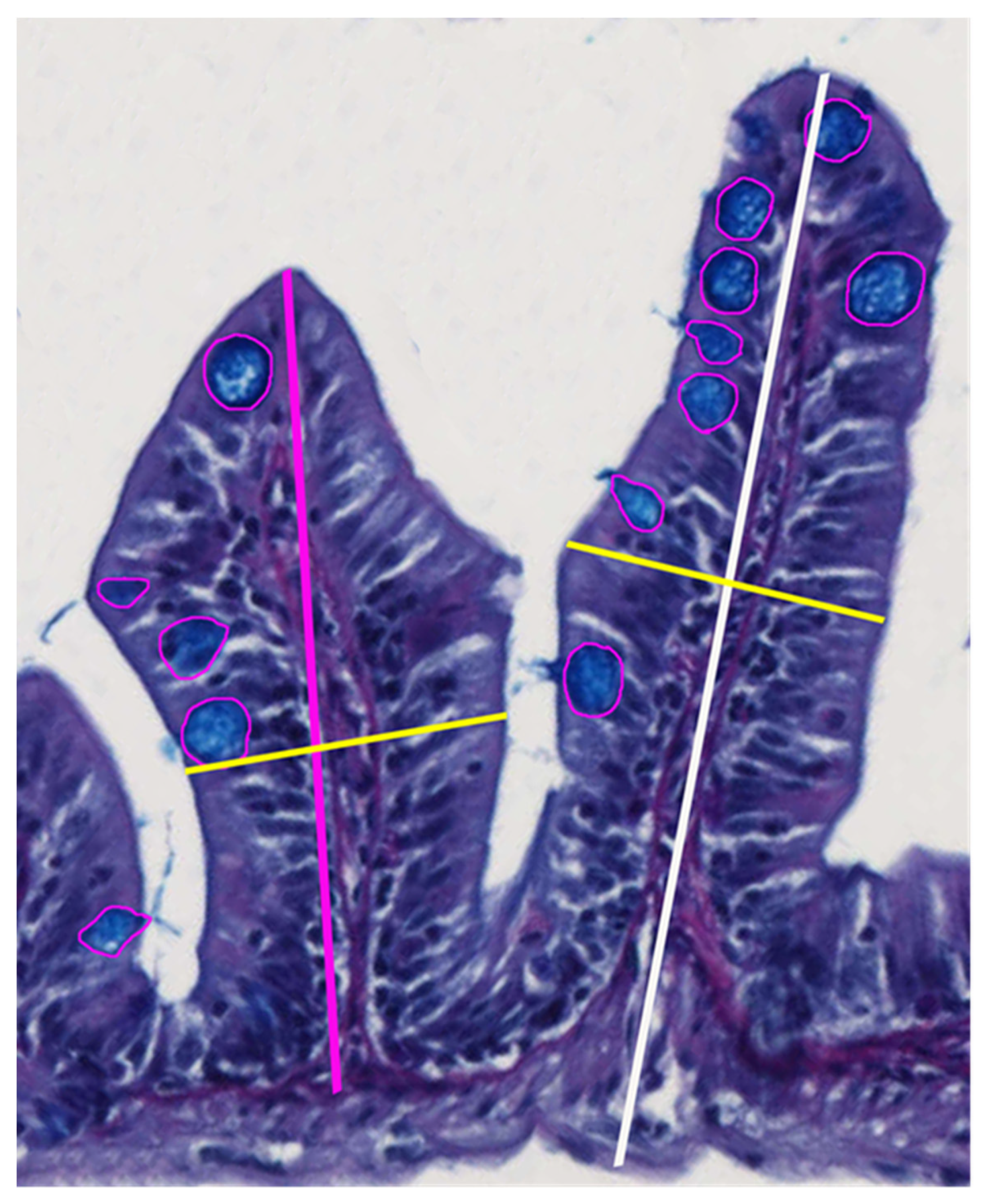 Fishes 06 00028 g002