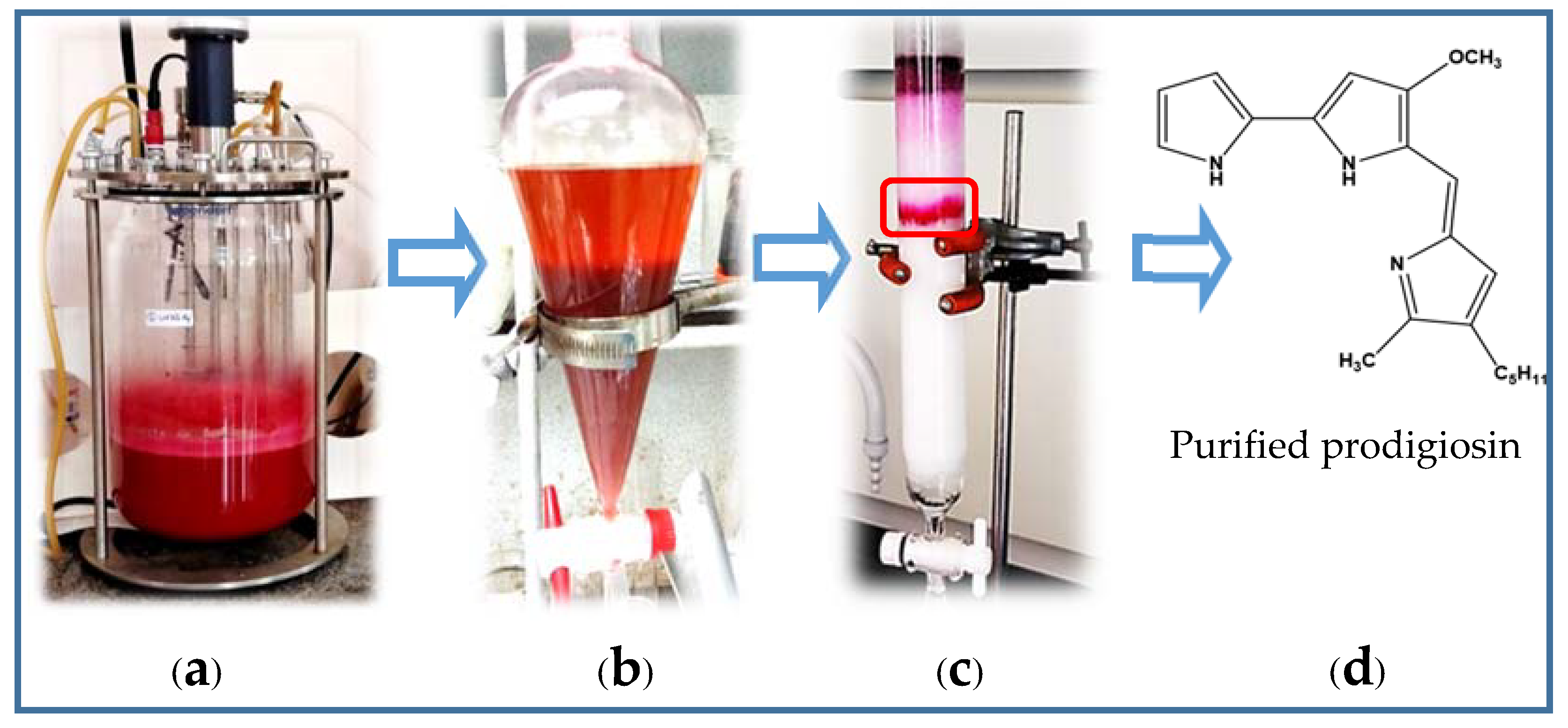 Fishes 06 00030 g003 550