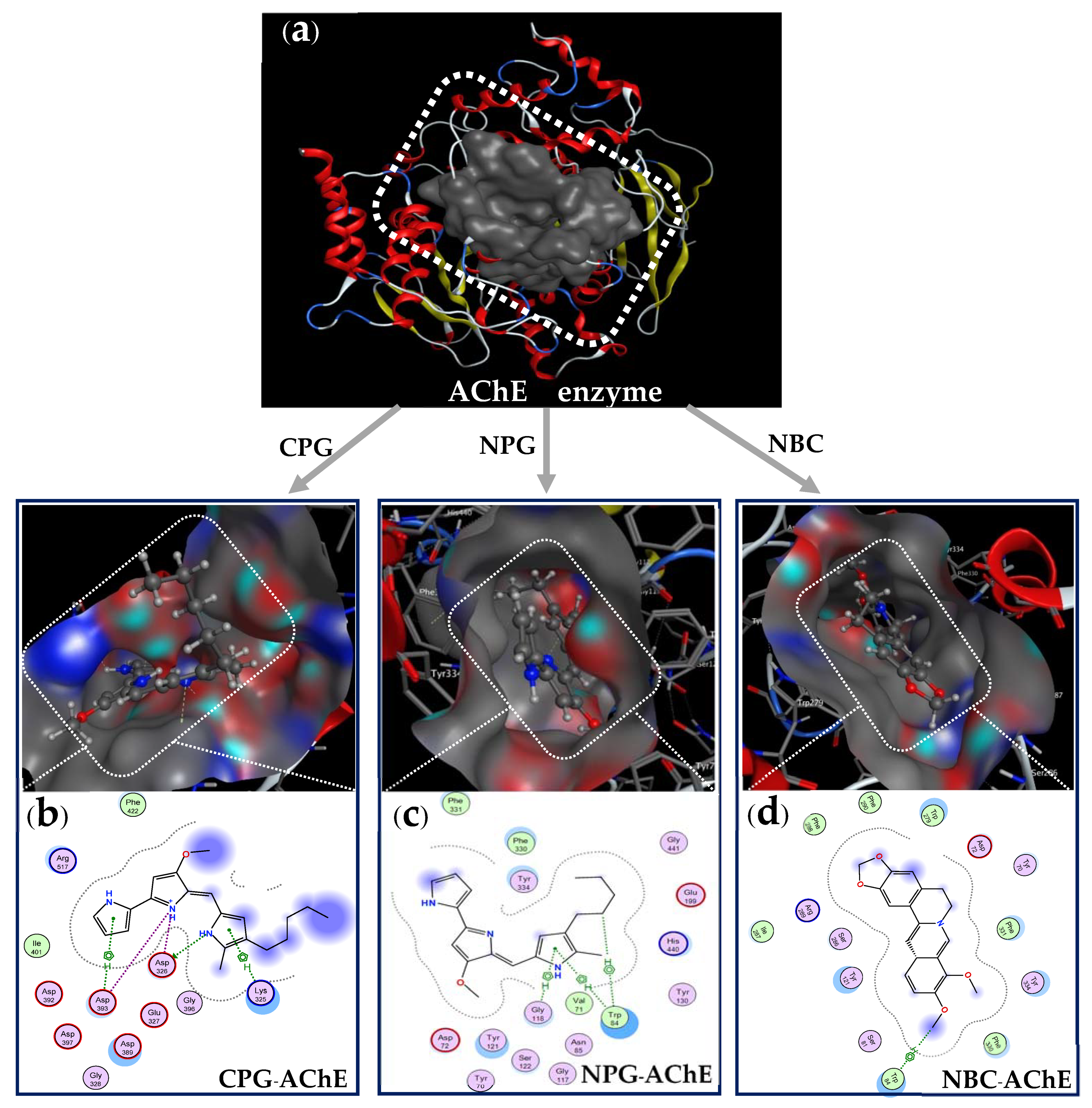 Fishes 06 00030 g008 550