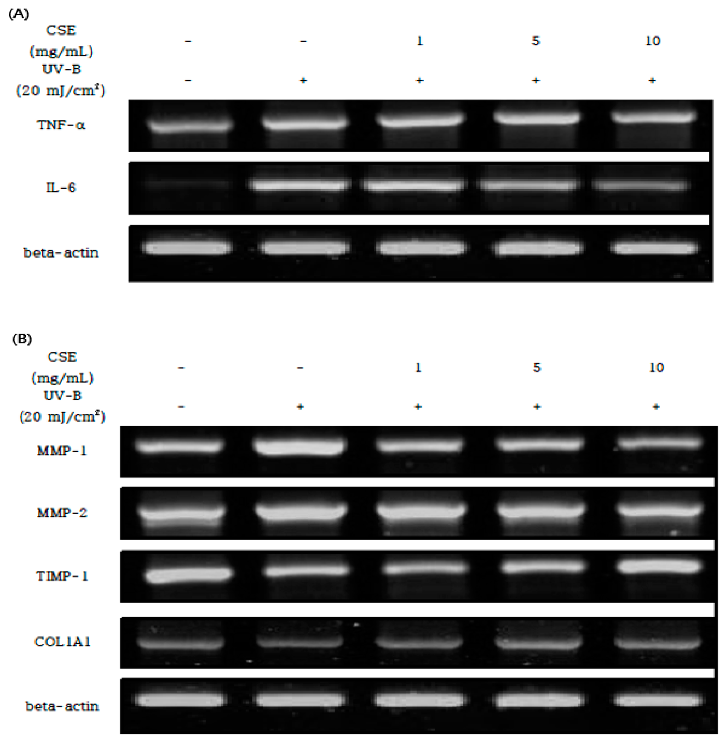 Fishes 06 00034 g005 550