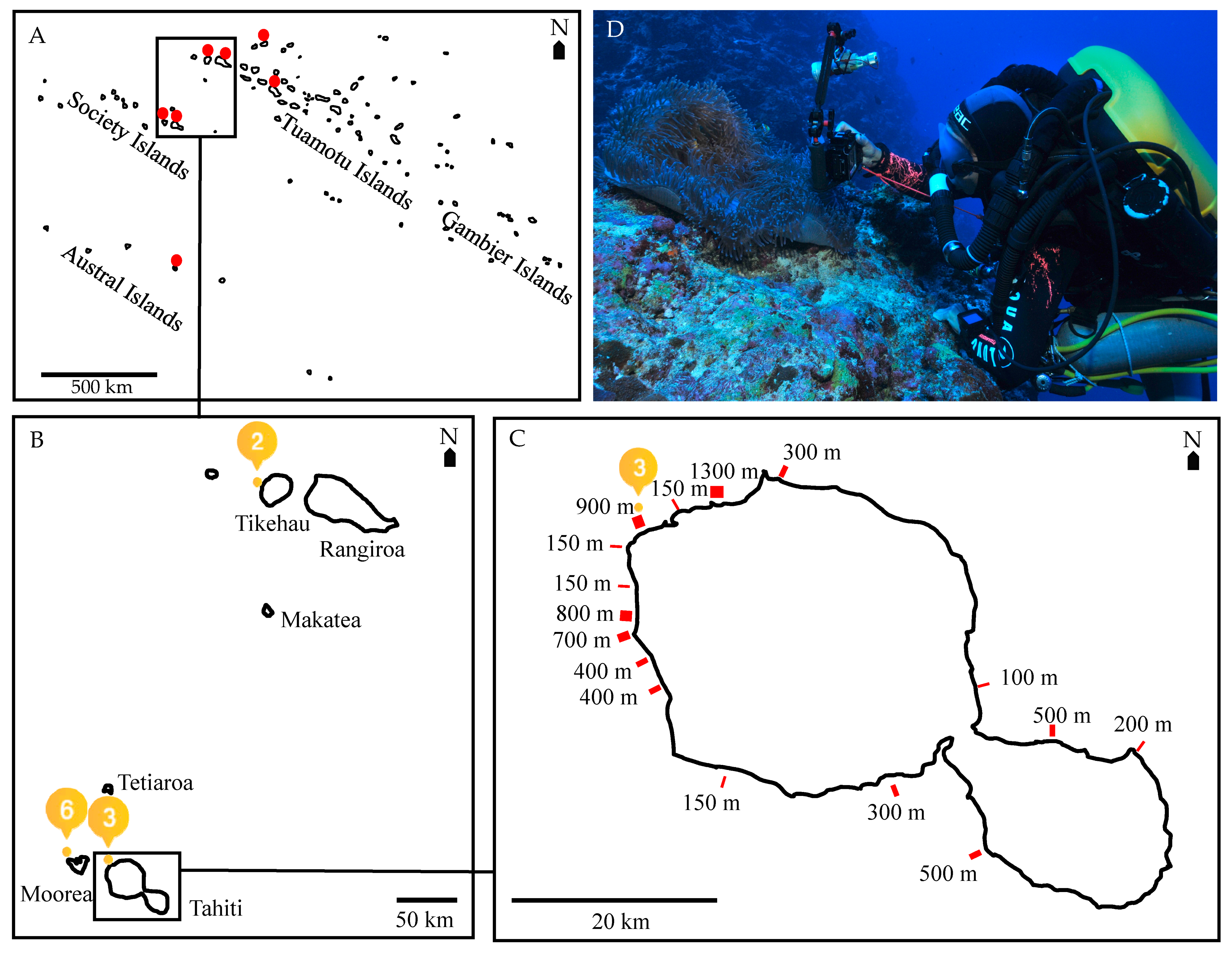 Fishes 06 00037 g001