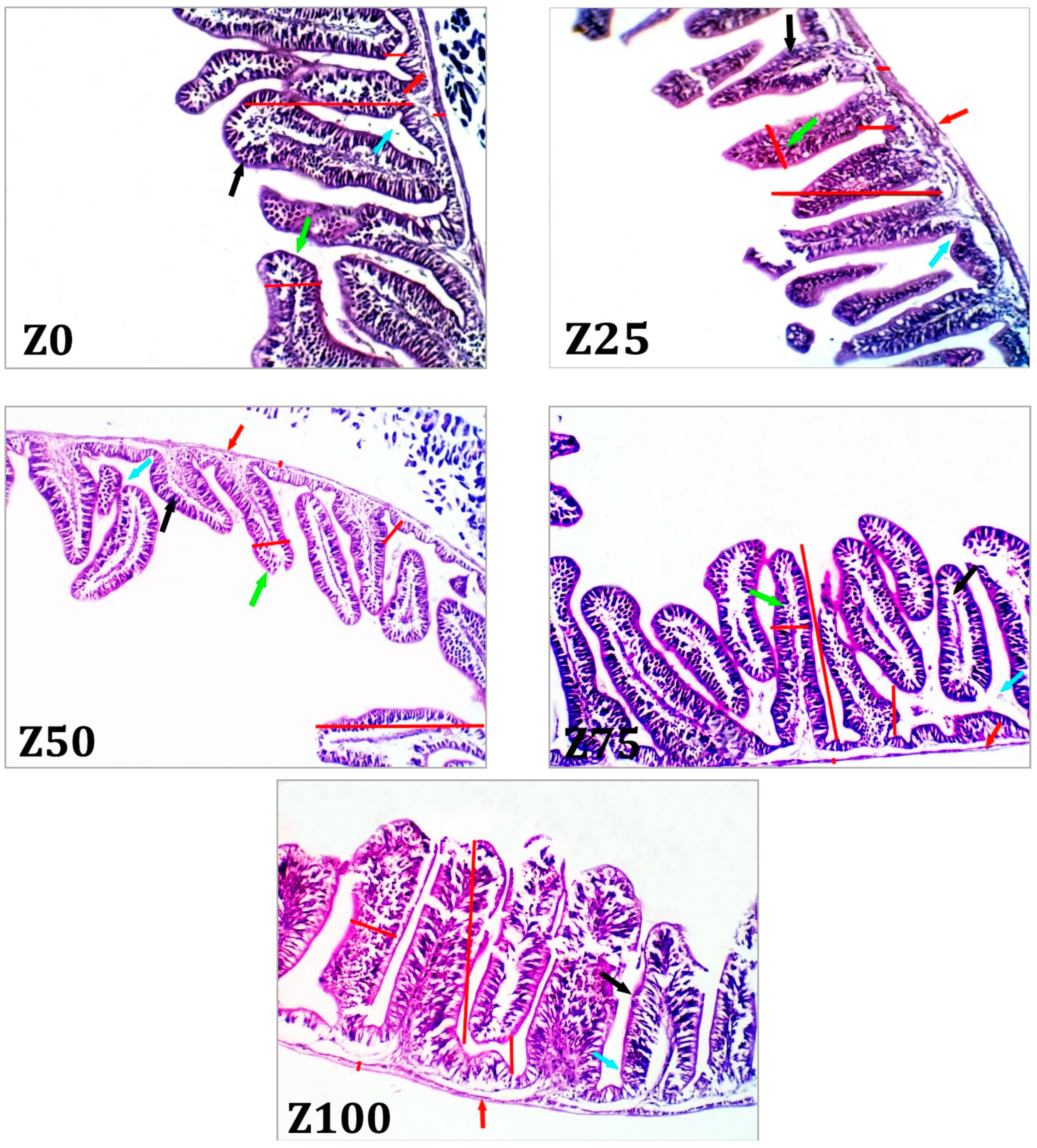 Fishes 06 00038 g002