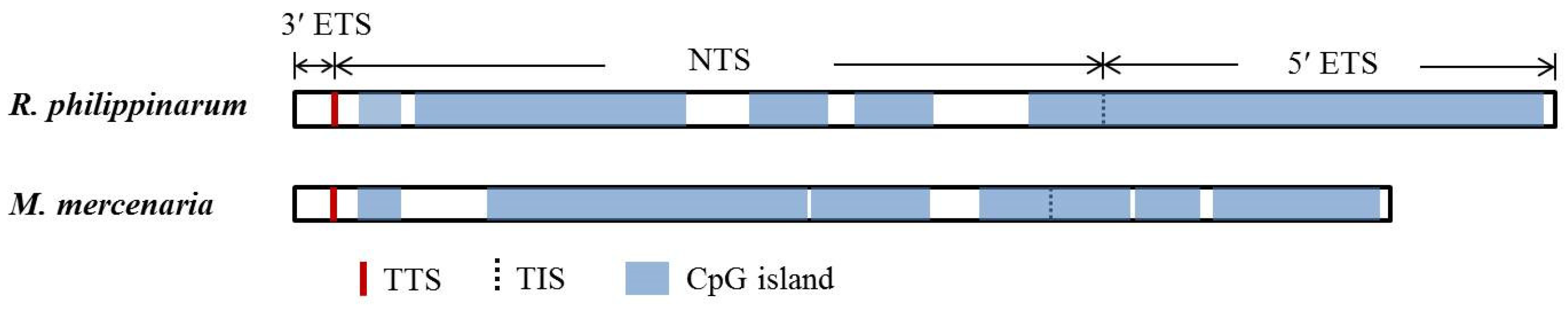 Fishes 06 00042 g001