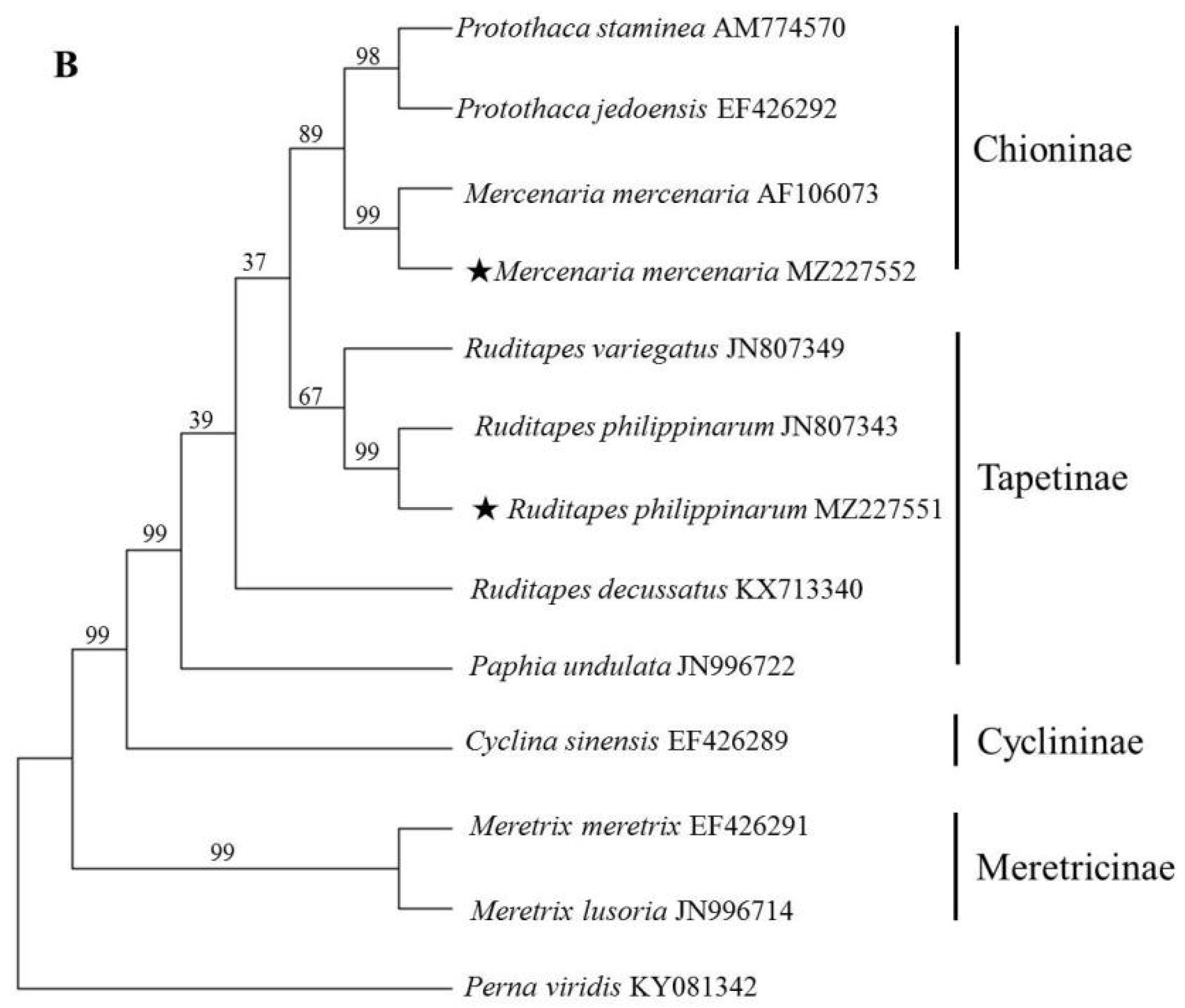 Fishes 06 00042 g002b