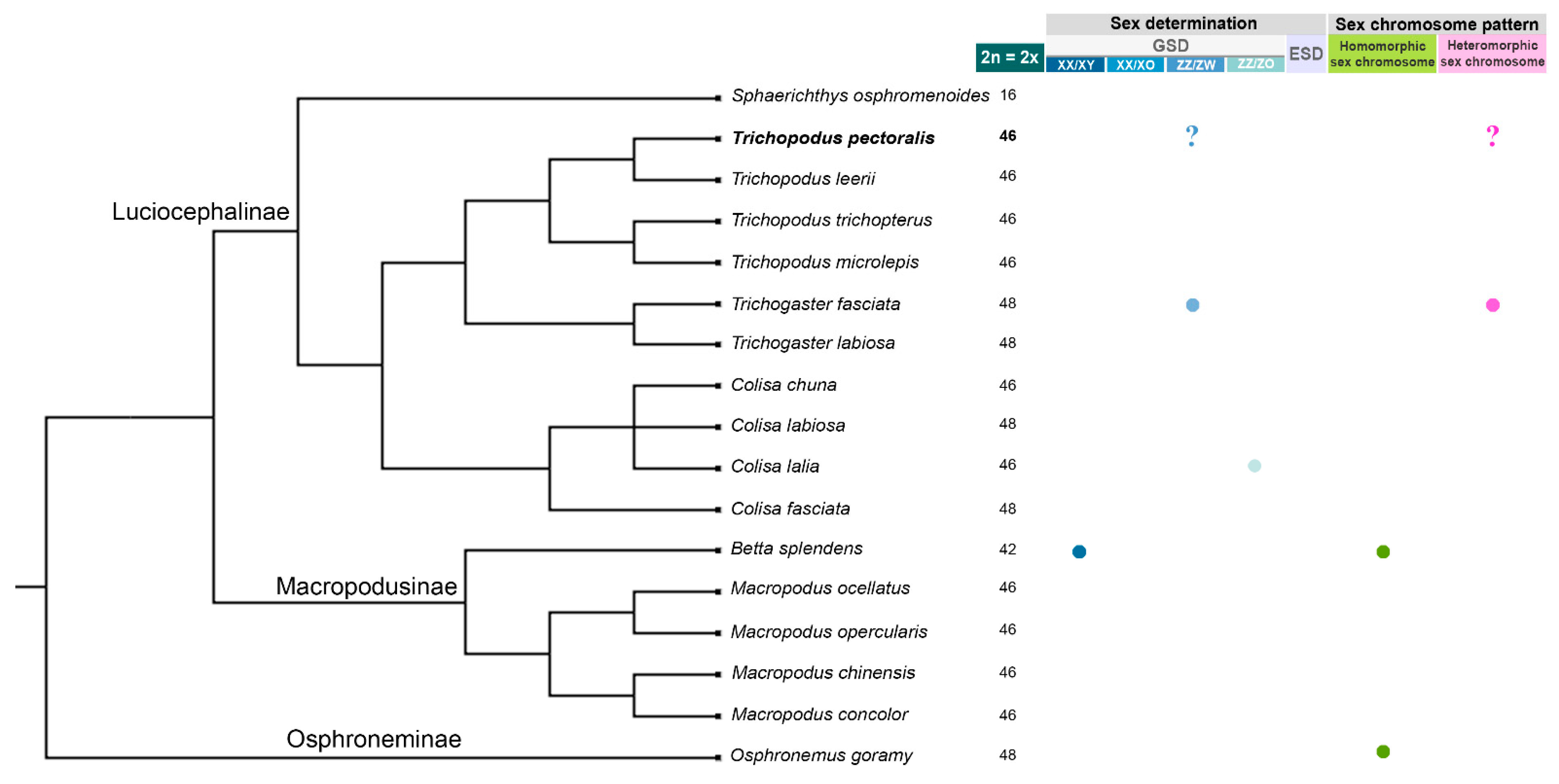 Fishes 06 00043 g001 Fishes 06 00043 g001