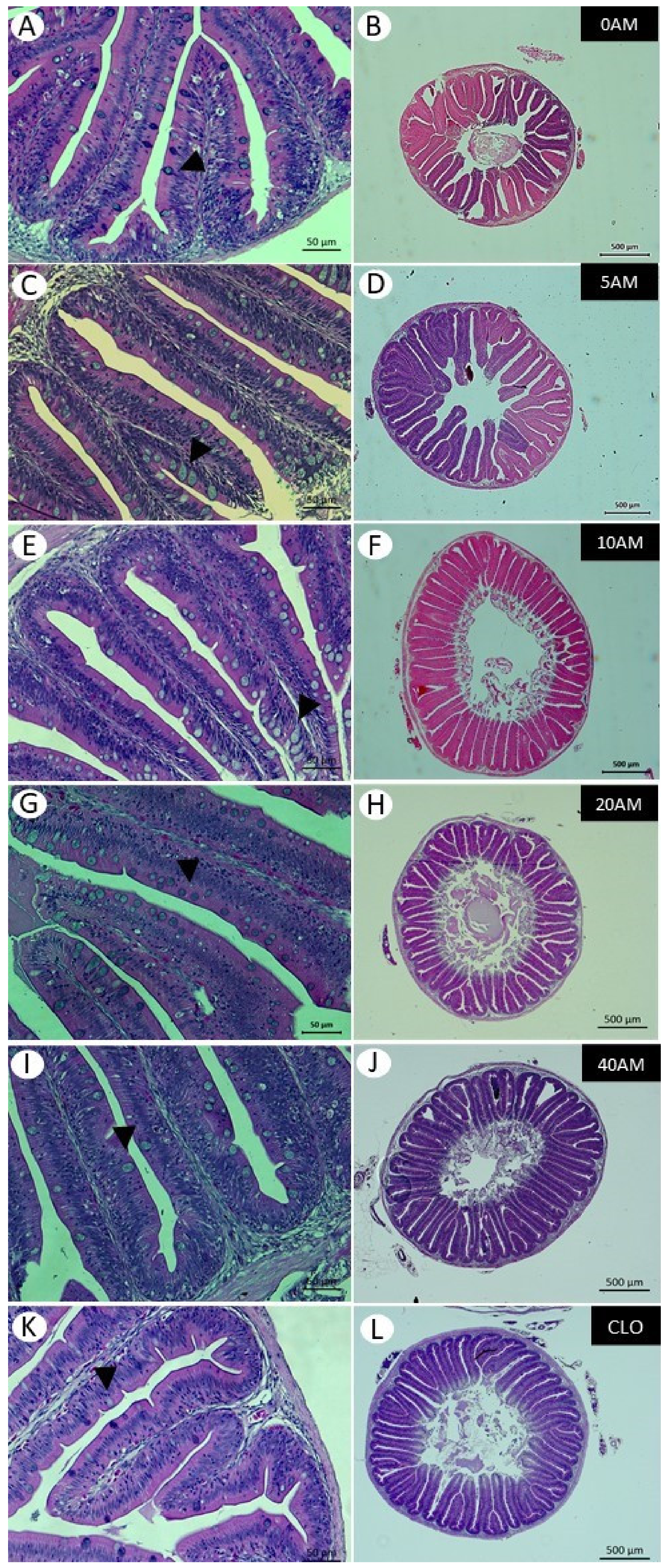 Fishes 06 00045 g001