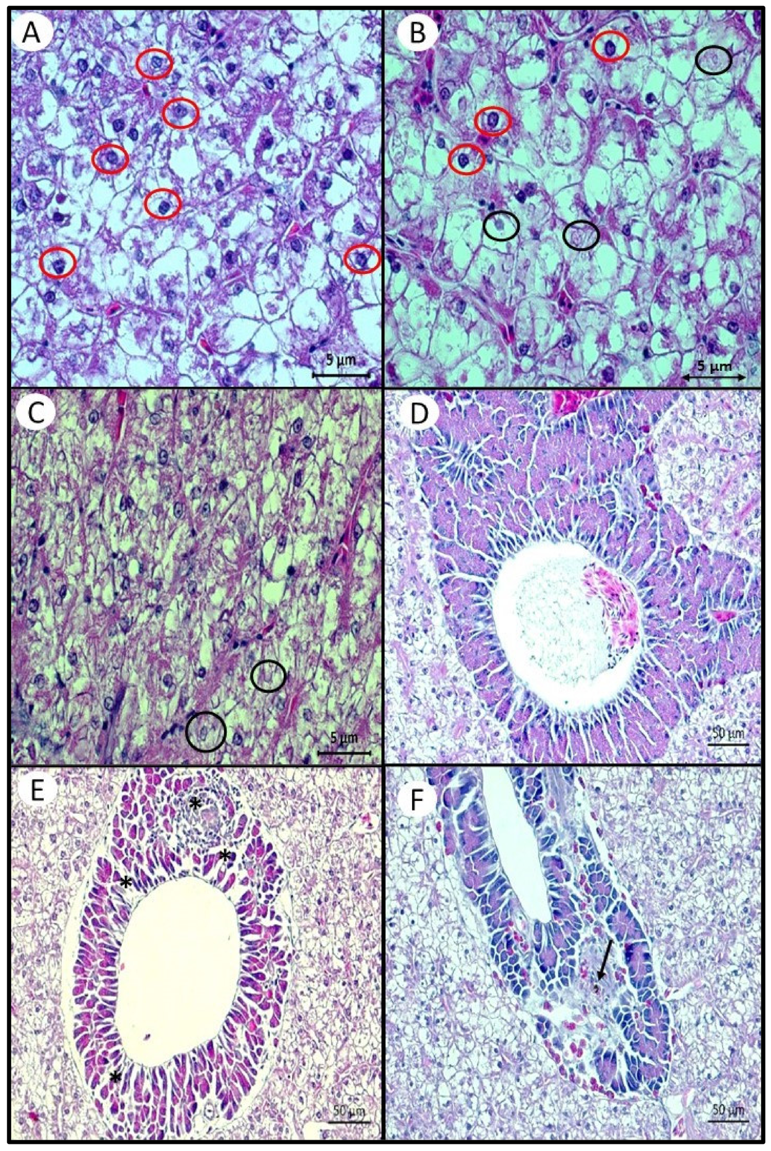 Fishes 06 00045 g003