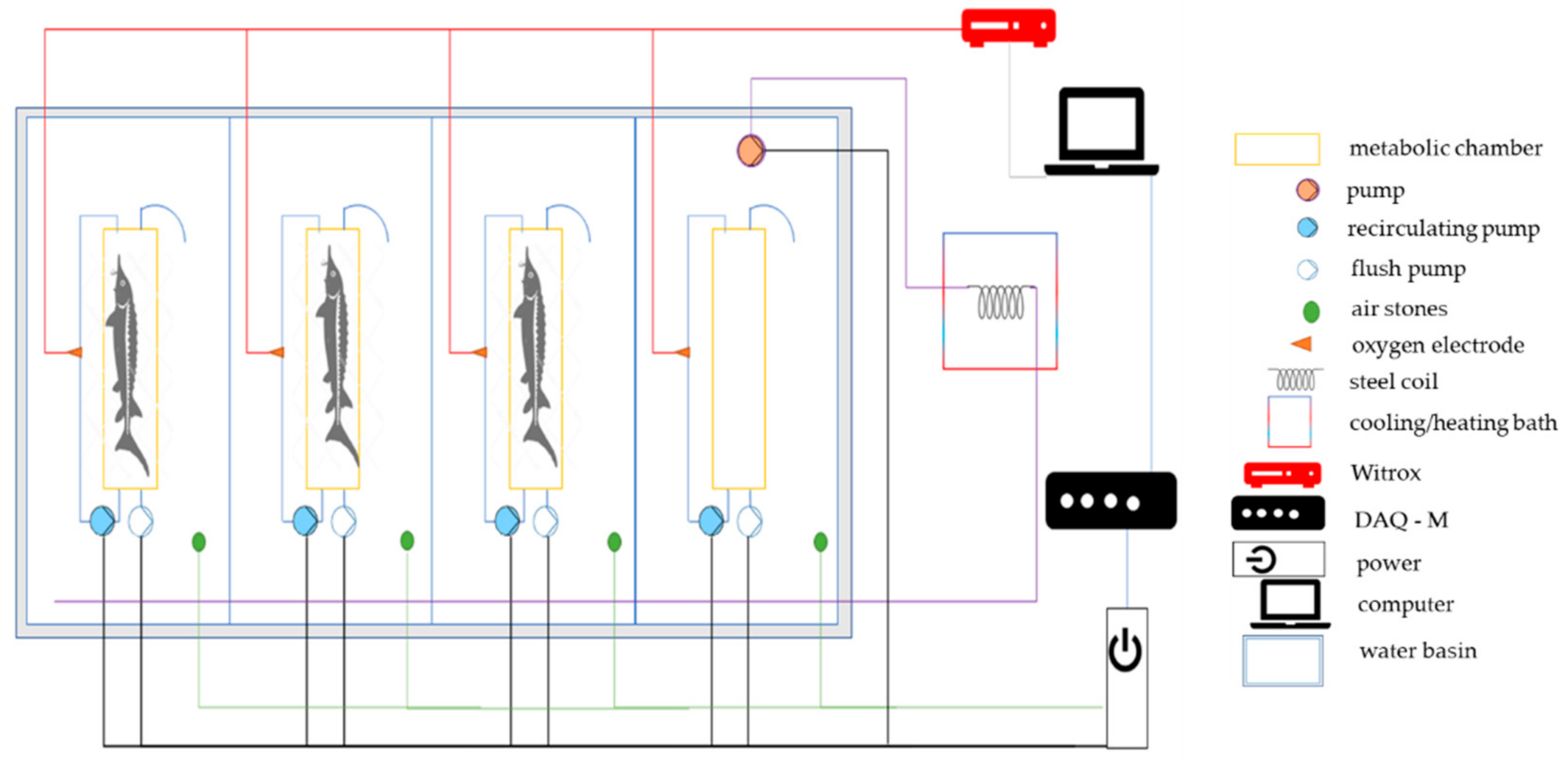Fishes 06 00046 g001 550