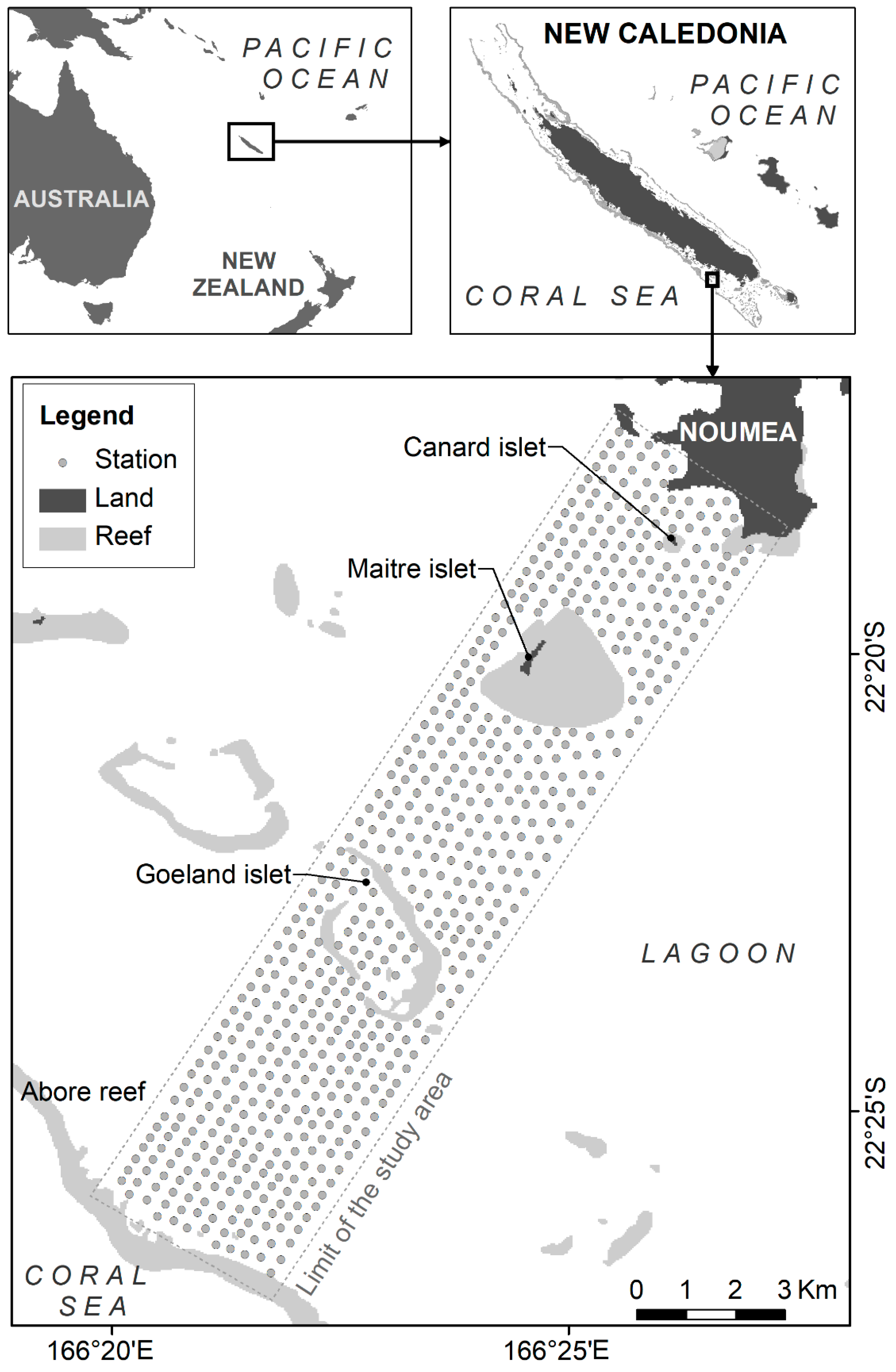Fishes 06 00050 g001 550