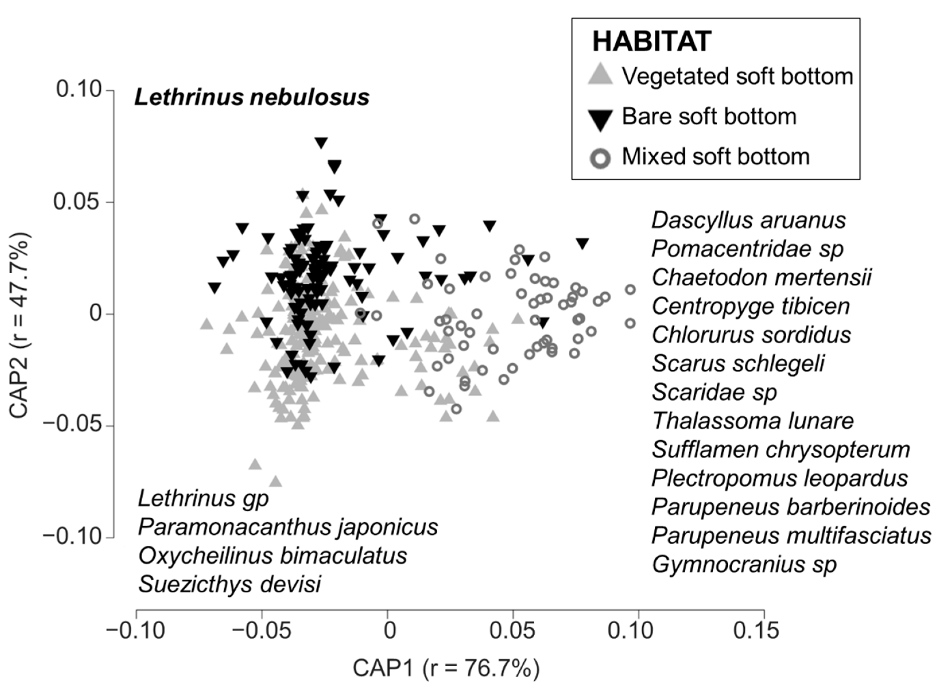 Fishes 06 00050 g004 550