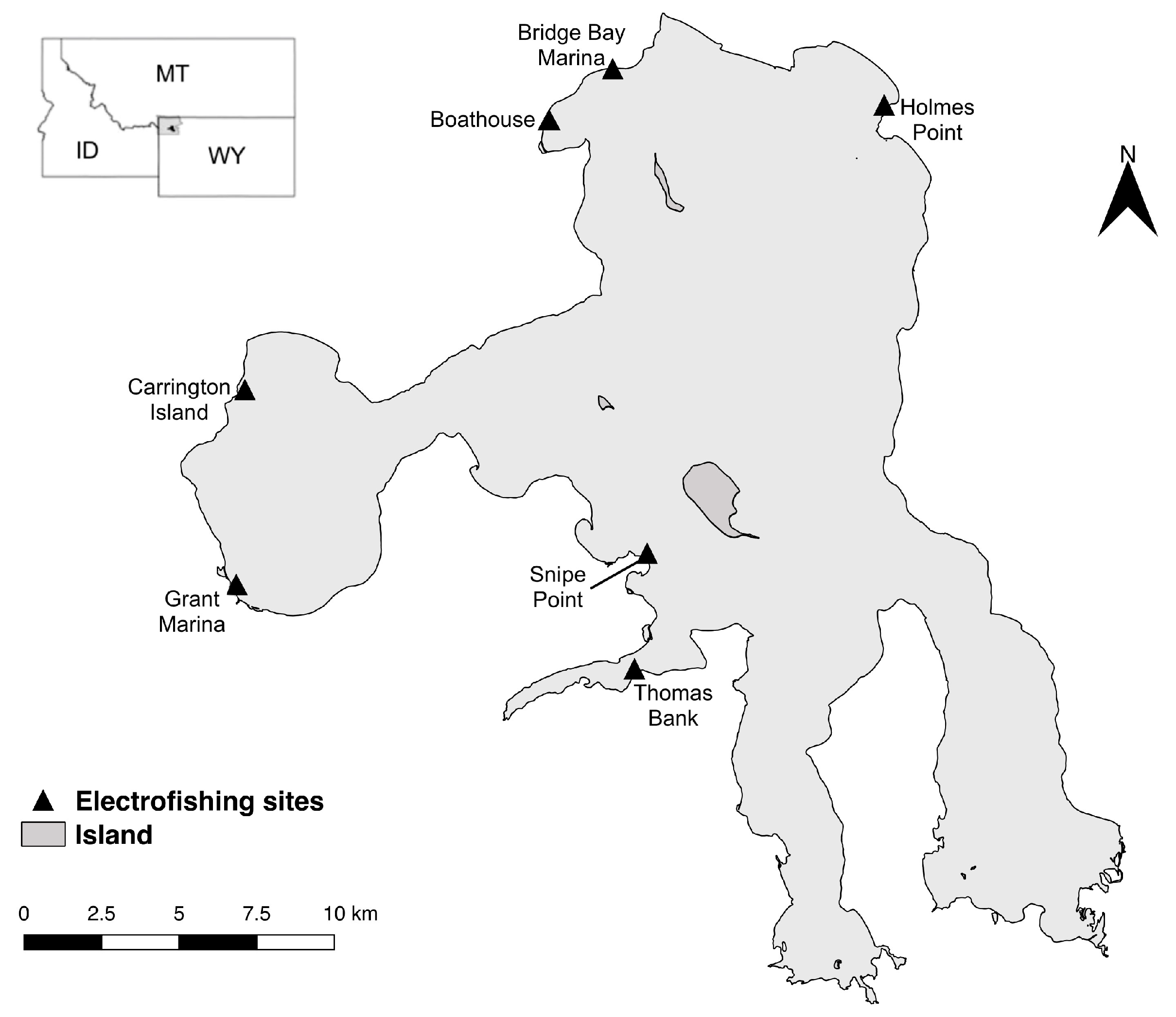 Fishes 06 00051 g001