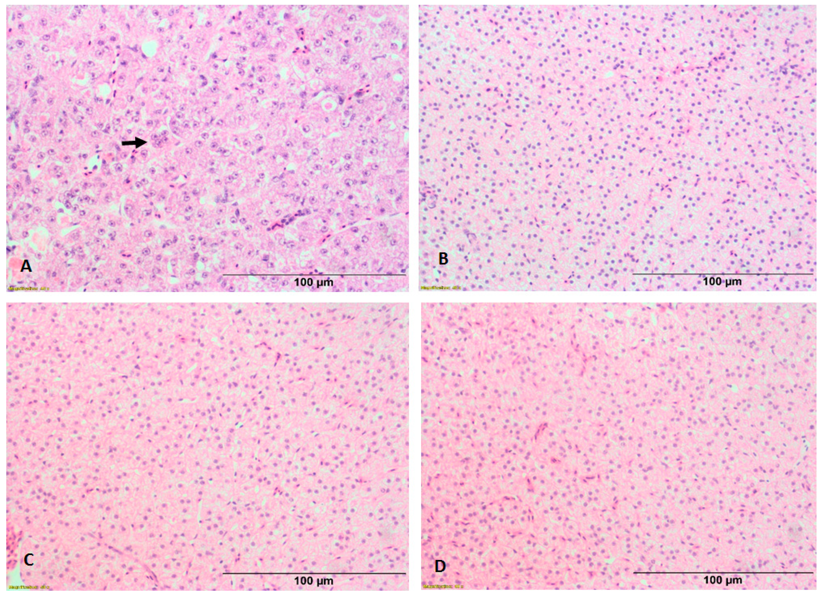 Fishes 06 00056 g002