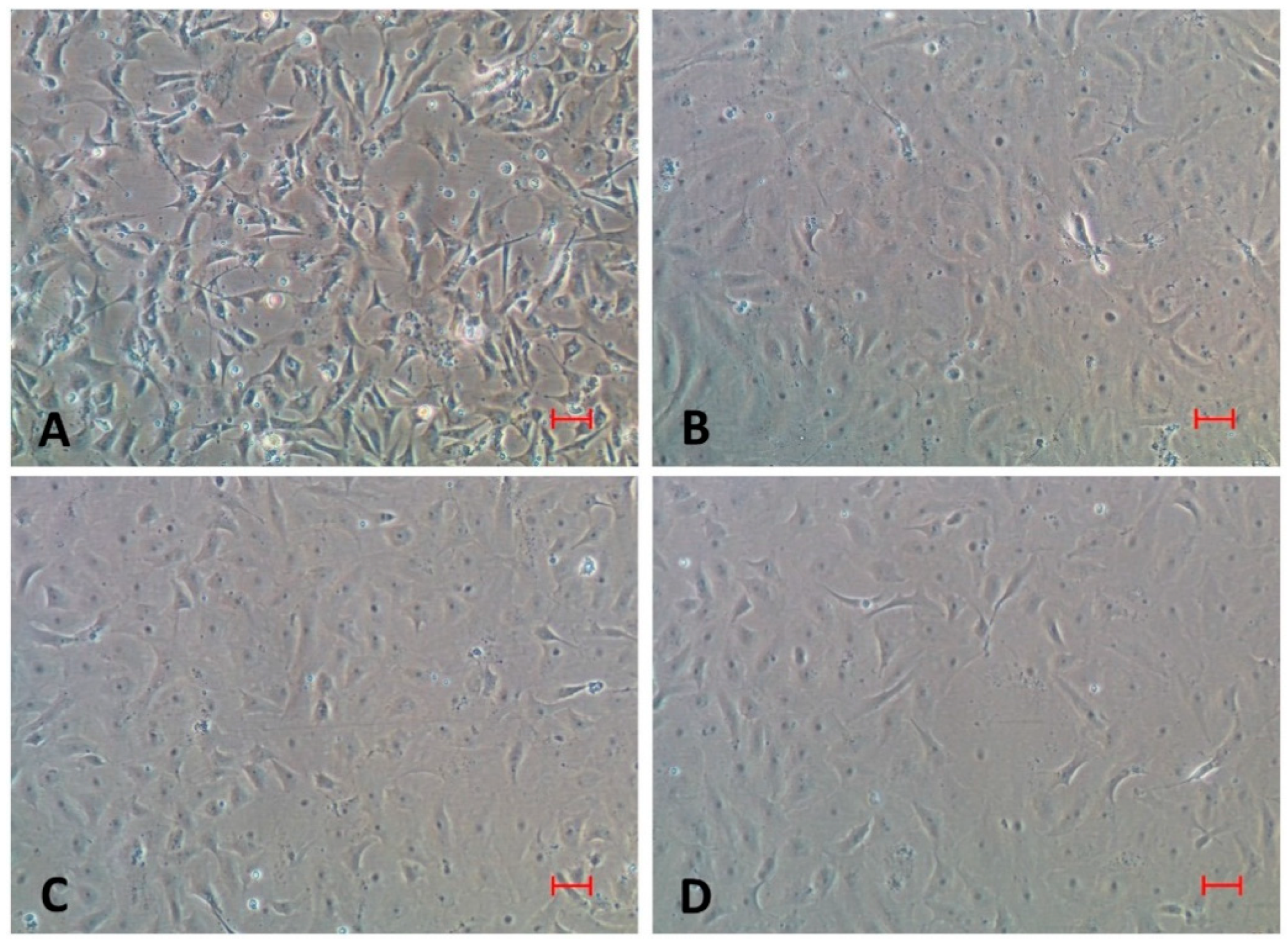 Fishes 06 00056 g004