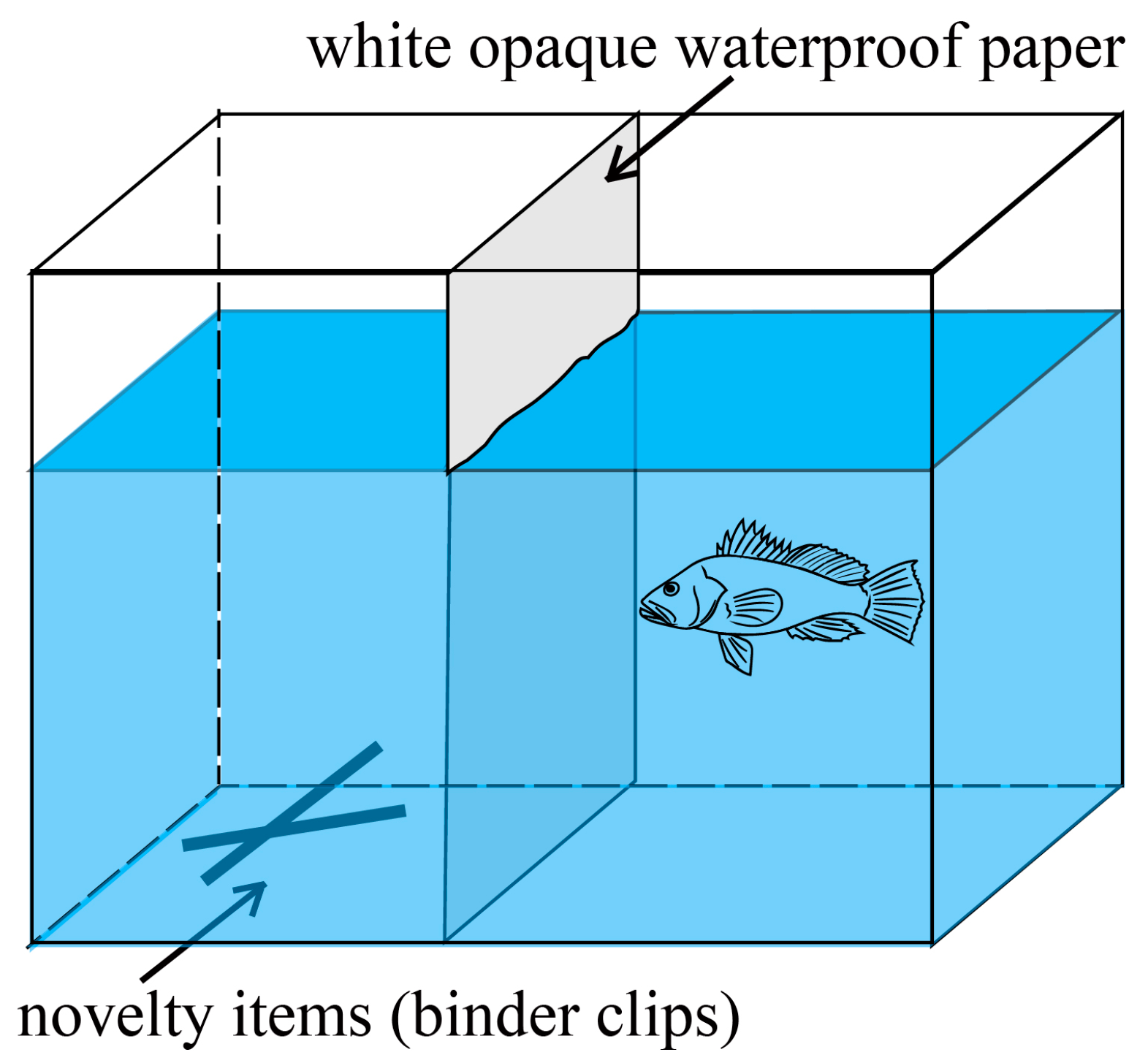 Fishes 06 00058 g002