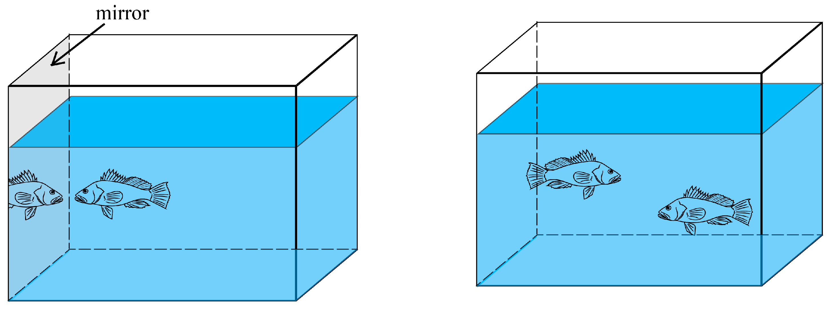 Fishes 06 00058 g003