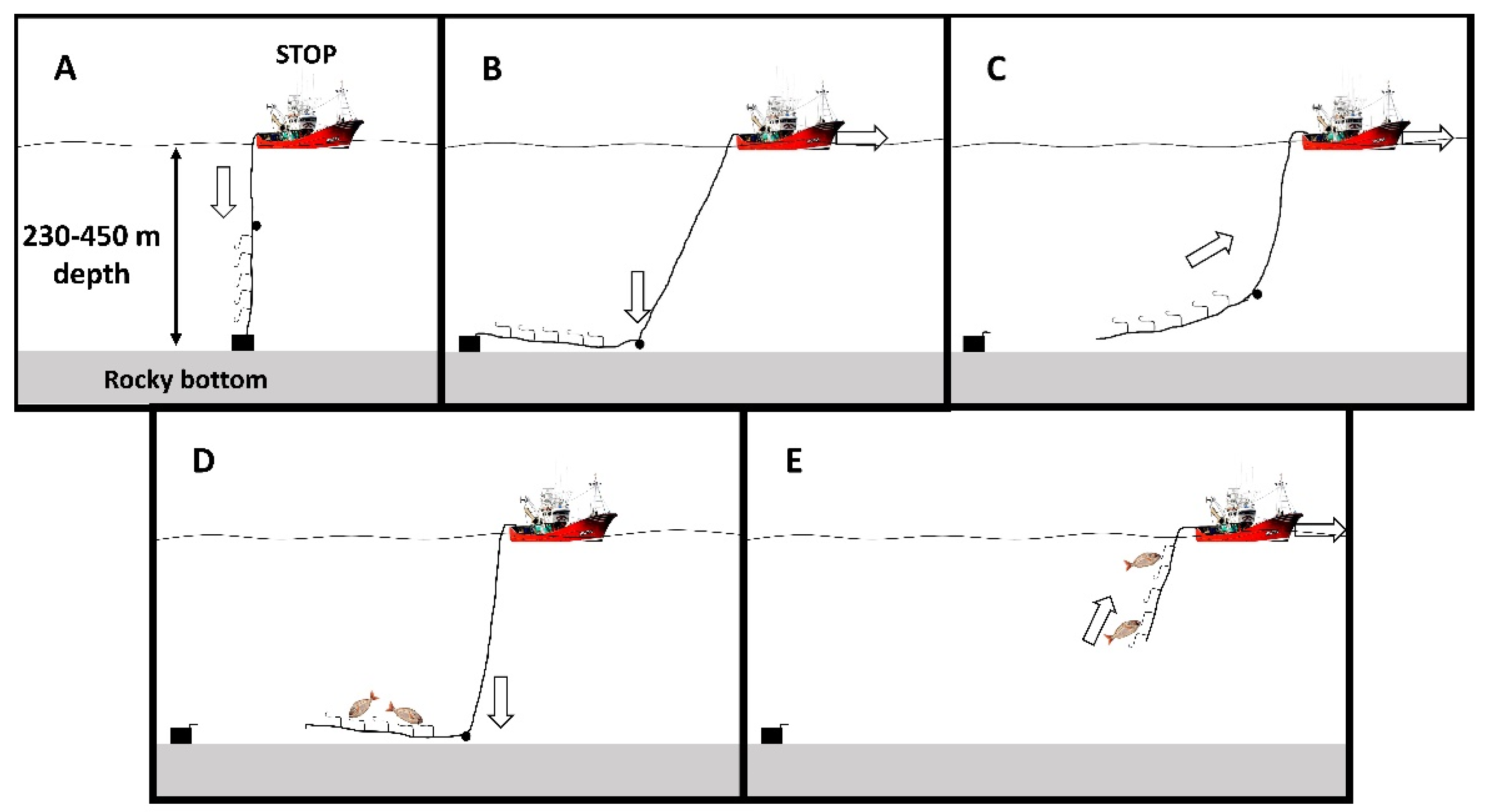 Fishes 06 00064 g006