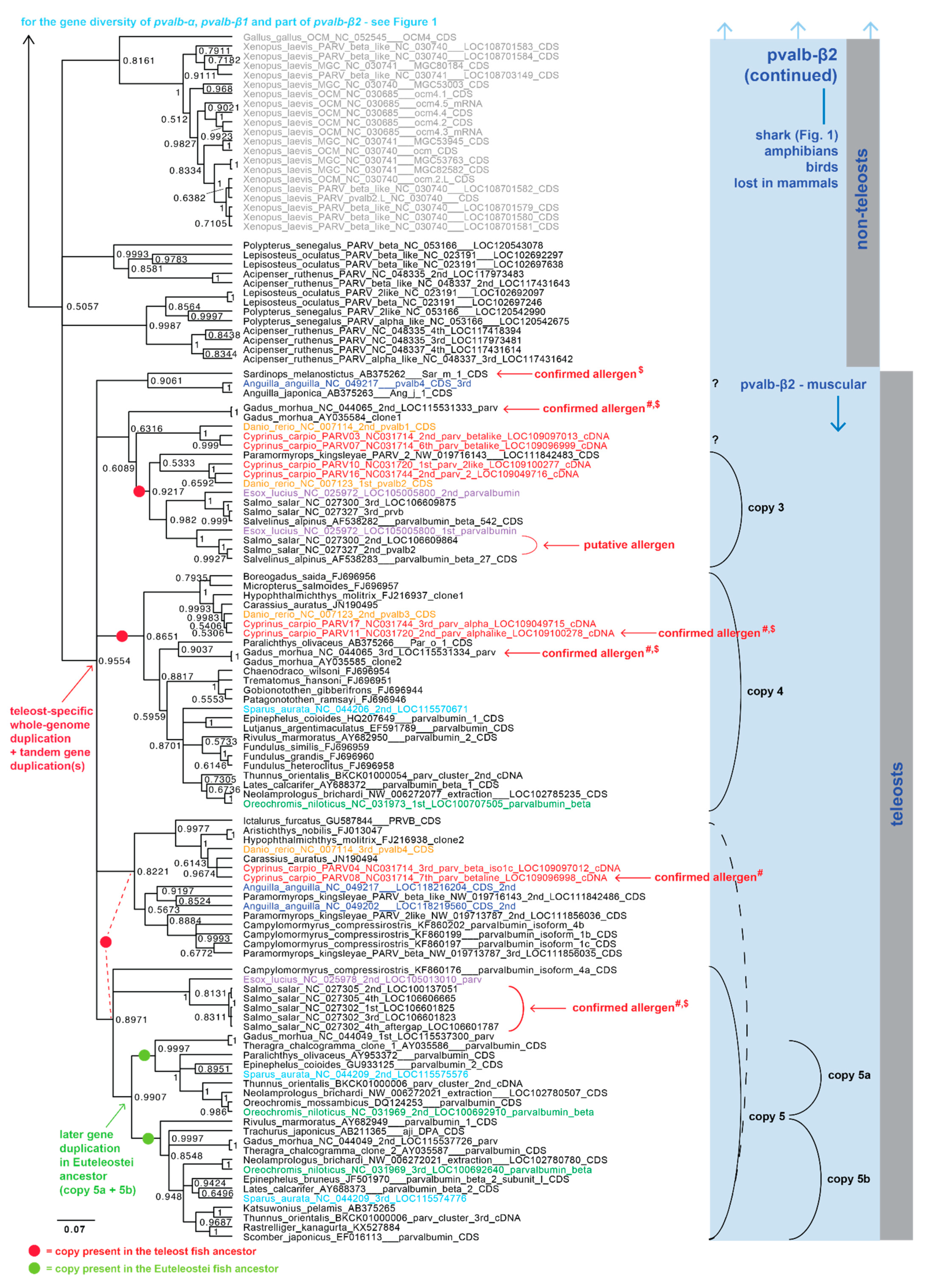 Fishes 06 00070 g002