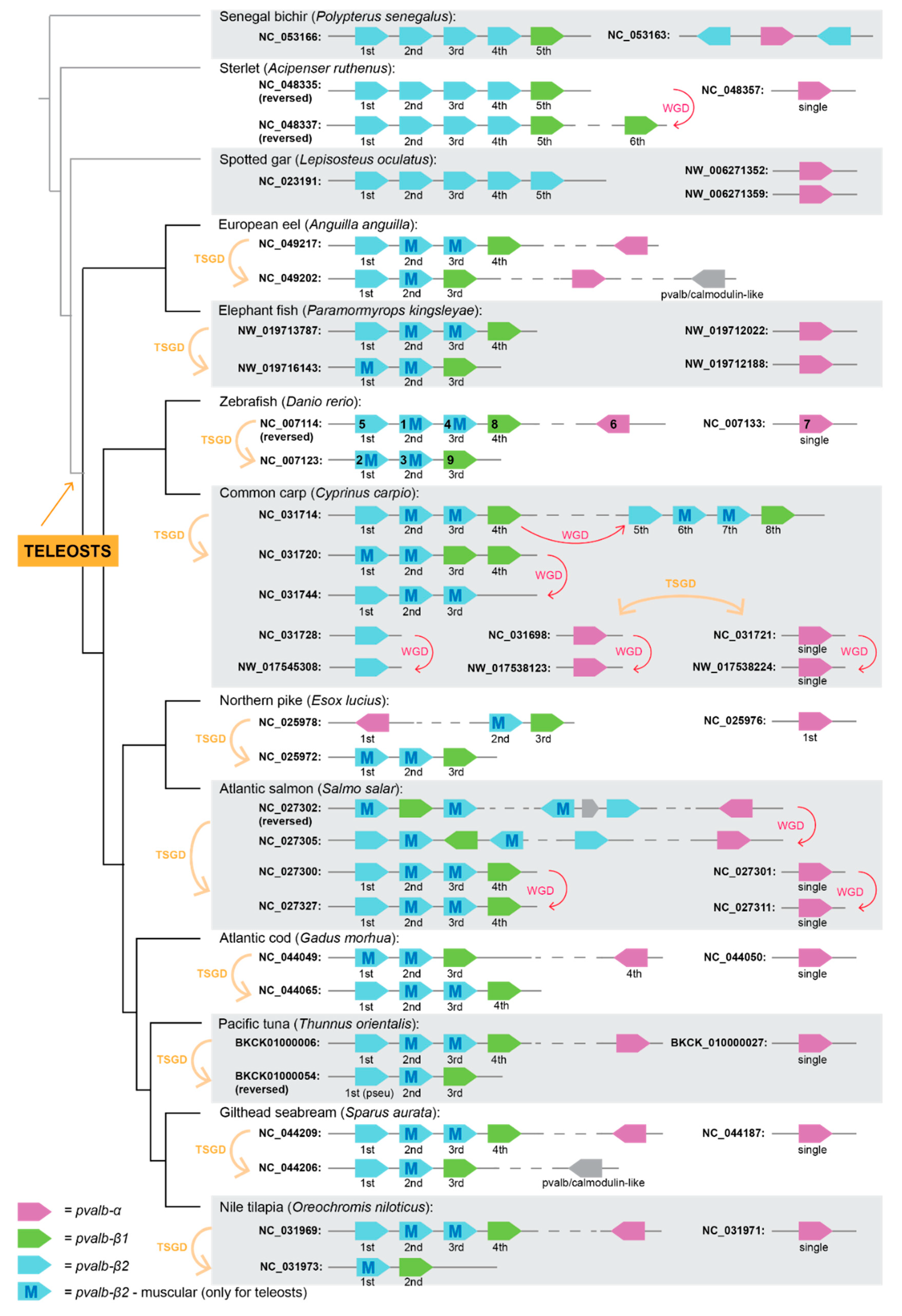 Fishes 06 00070 g003