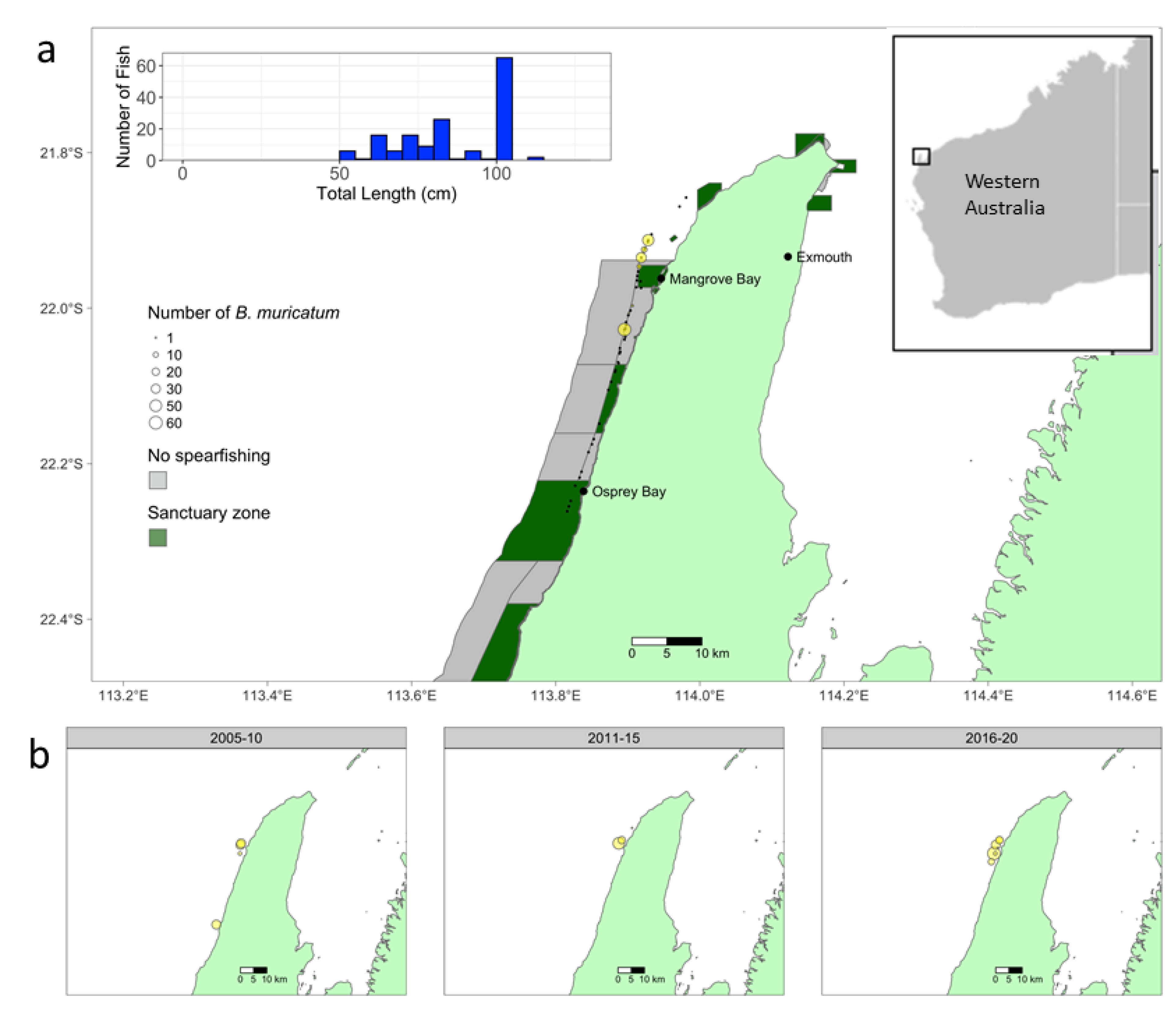 Fishes 06 00073 g001 550
