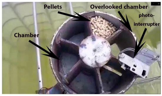 Design and Fabrication of an Automatic Fish Feeder Prototype Suits ...